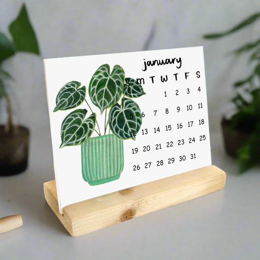 2026 Watercolor Plant Calendar: Meet the plants!