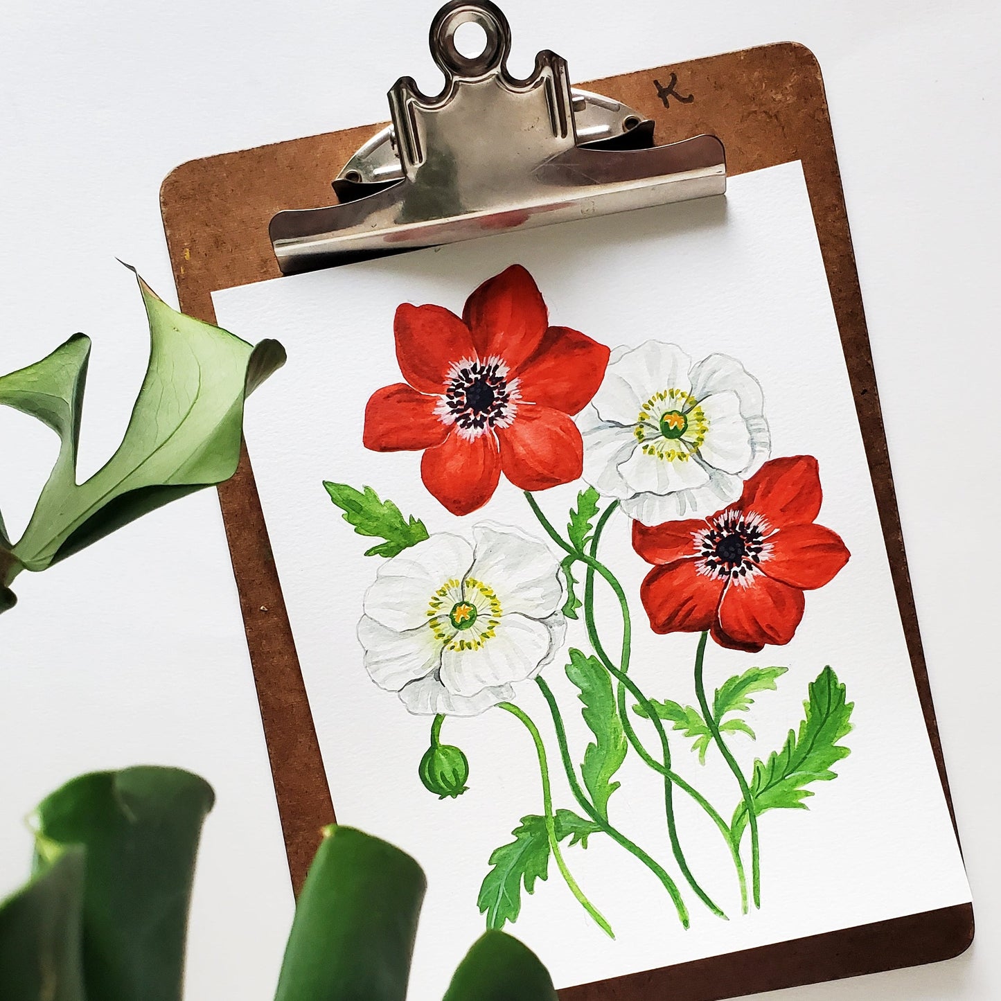 Red and White Poppy Print Download - Fundraiser for Israel + Gaza