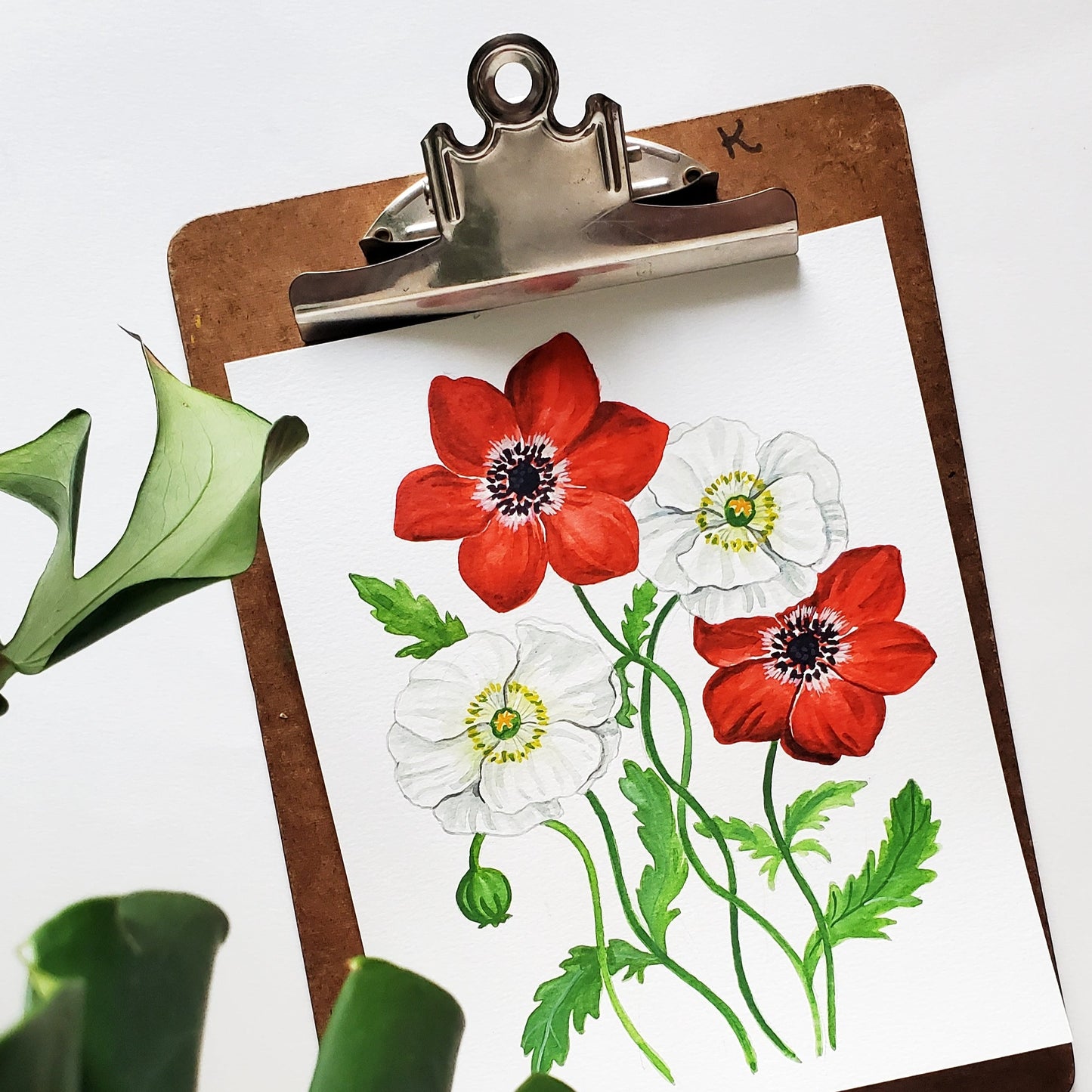 Red and White Poppy Art Print - Fundraiser for Israel + Gaza