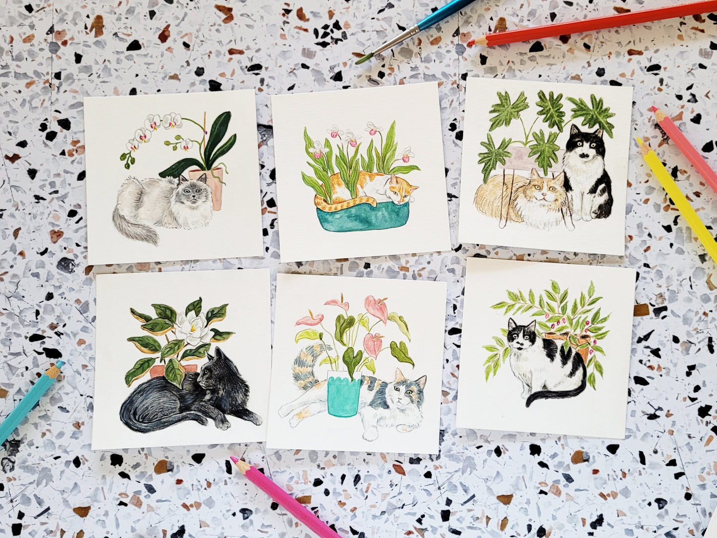 2026 Cats + Plants Desk Calendar