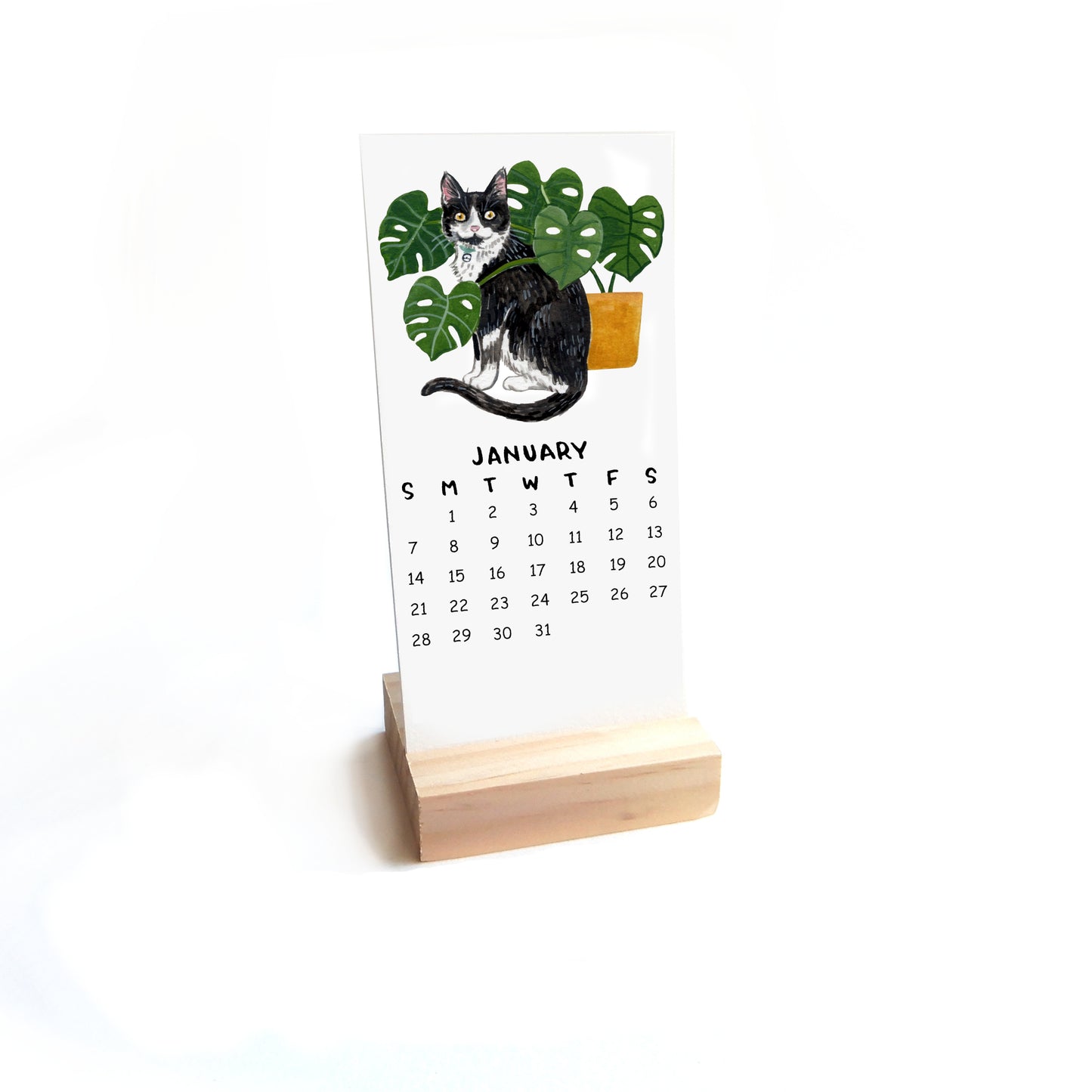 2024 Cats + Plants Watercolor Desk Calendar