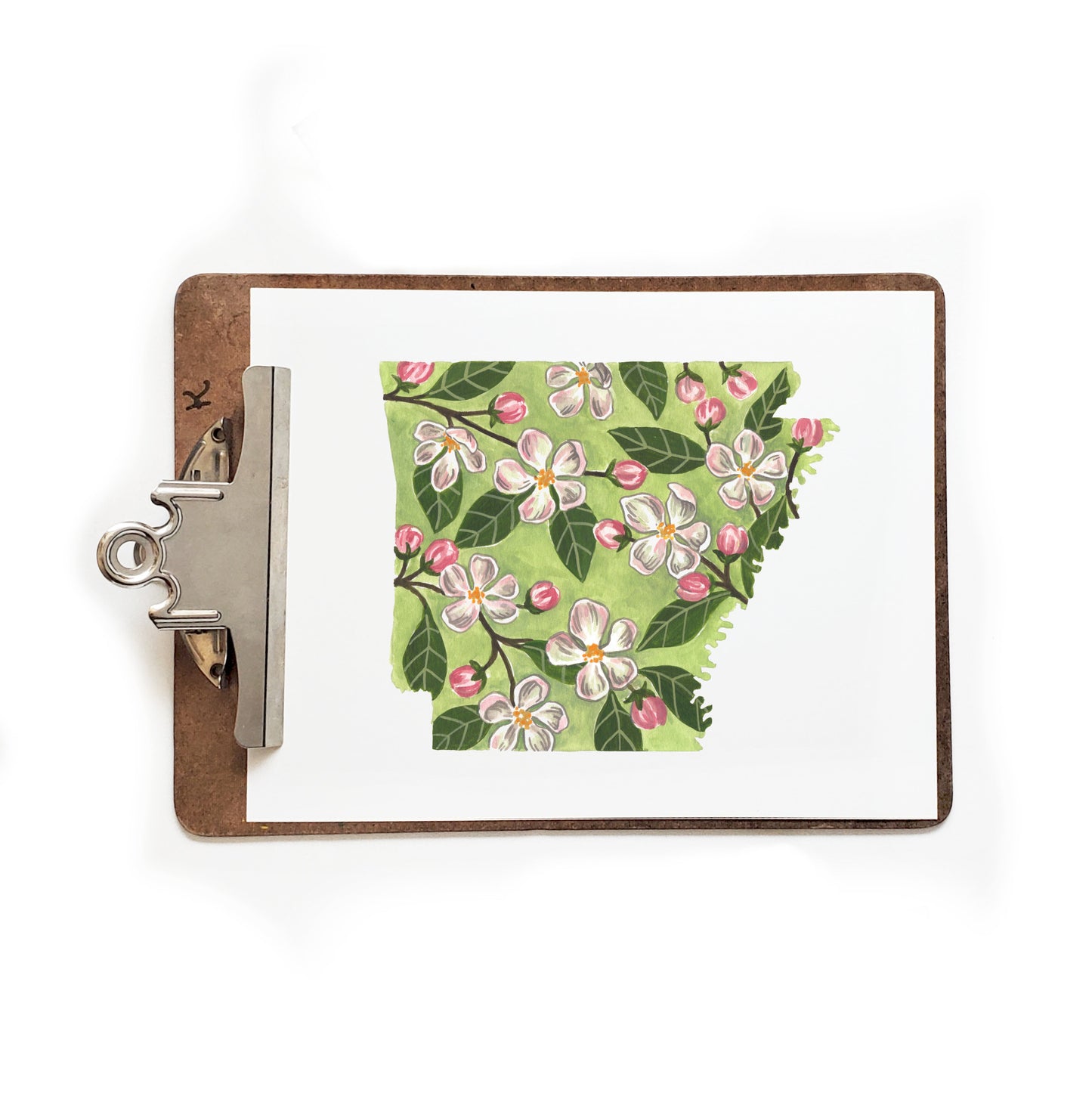 Arkansas State Flower Apple Blossom Print