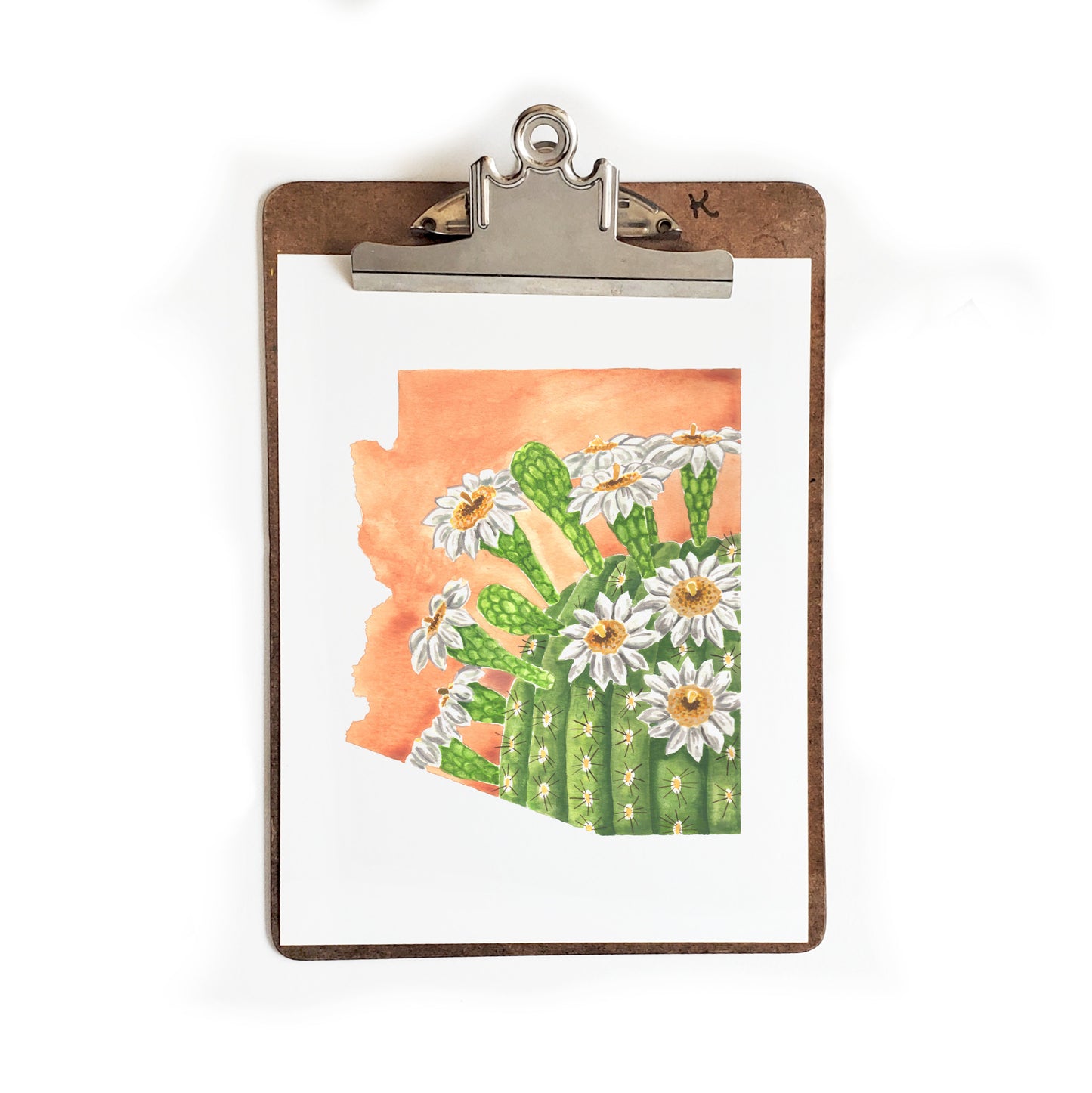 Arizona State Flower Saguaro Cactus Blossom Print