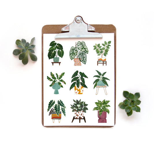 Plant Collage 4 Watercolor Print