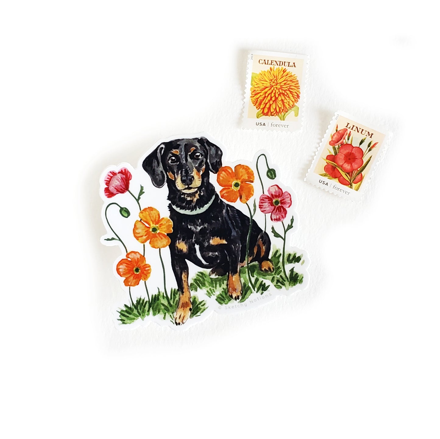 Dog and Flower Sticker 7 - Dachshund Mix with Icelandic Poppies