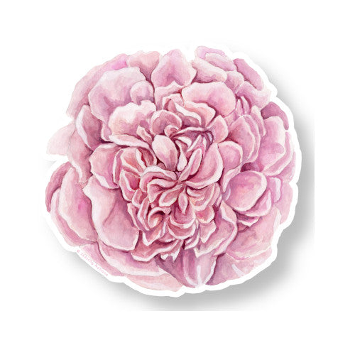 Camellia Flower Watercolor Sticker 3