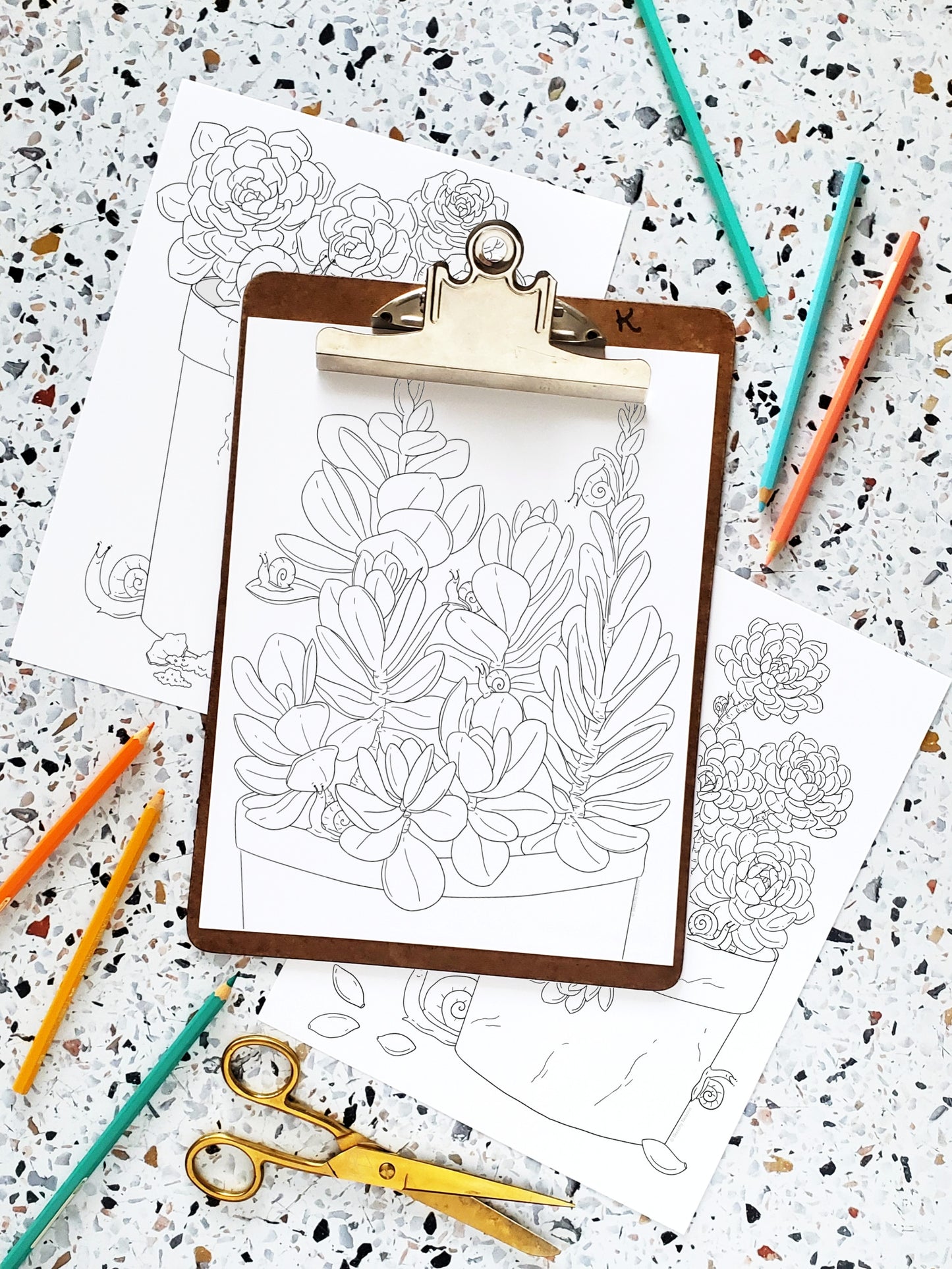 Snails + Succulents Coloring Pages