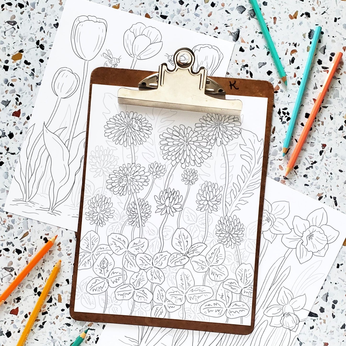 Spring Meadows Coloring Pages