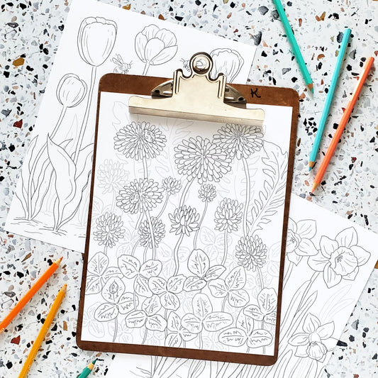 Spring Meadows Coloring Pages