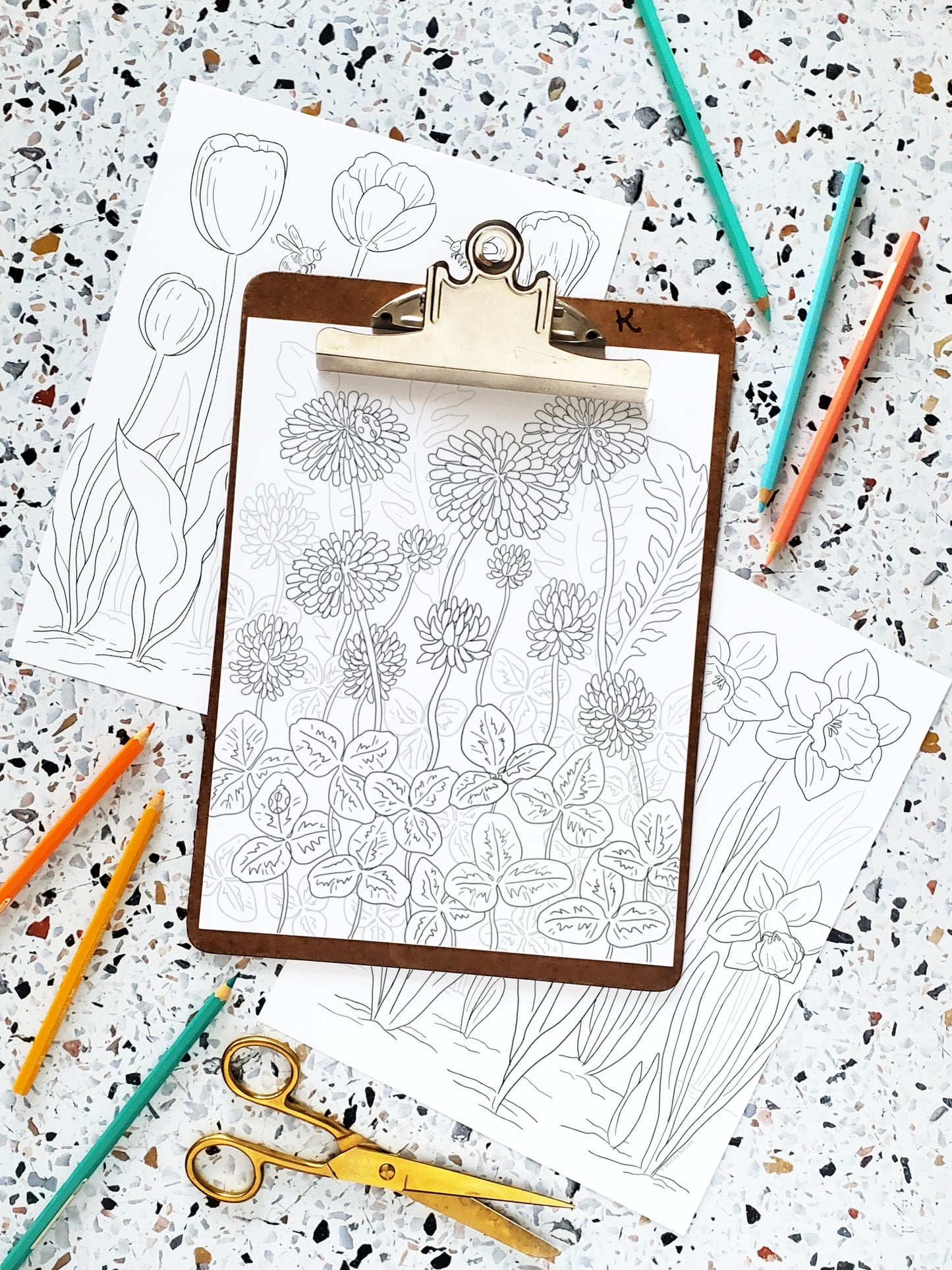 Spring Meadows Coloring Pages