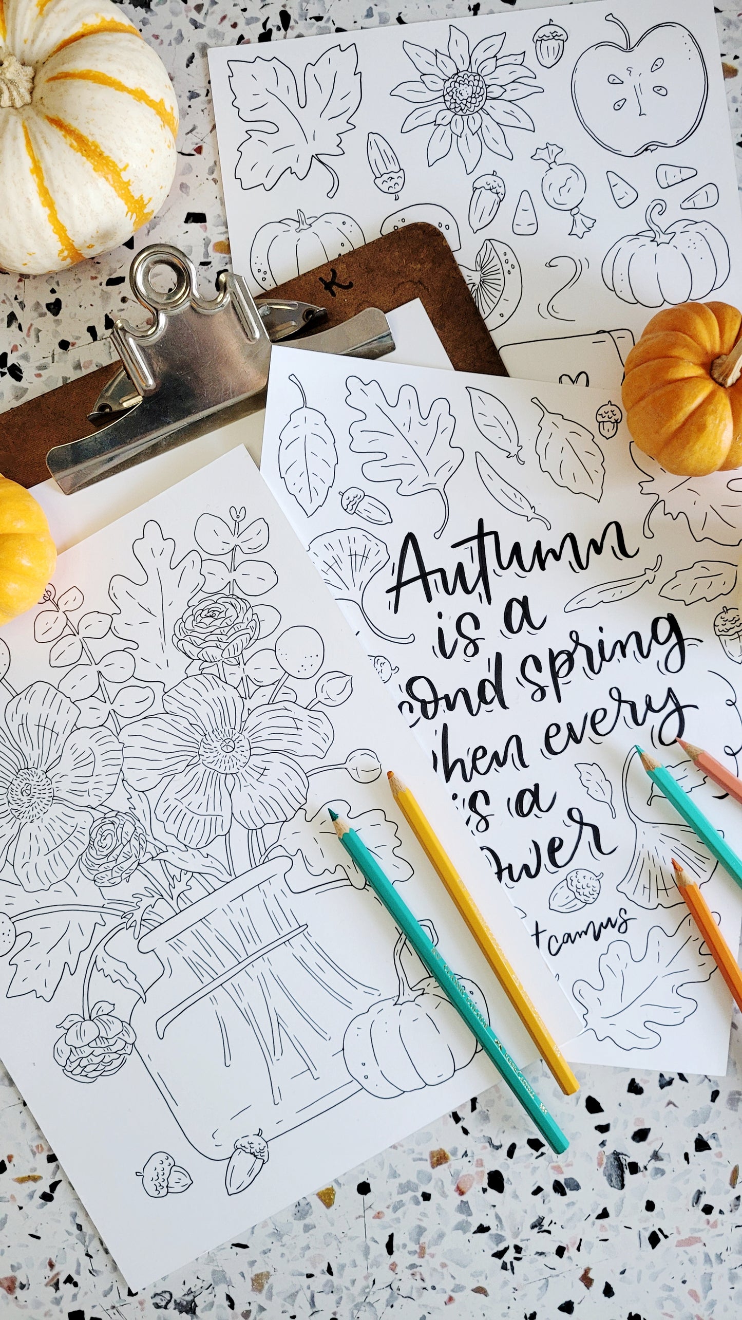 Autumn Delights Coloring Pages