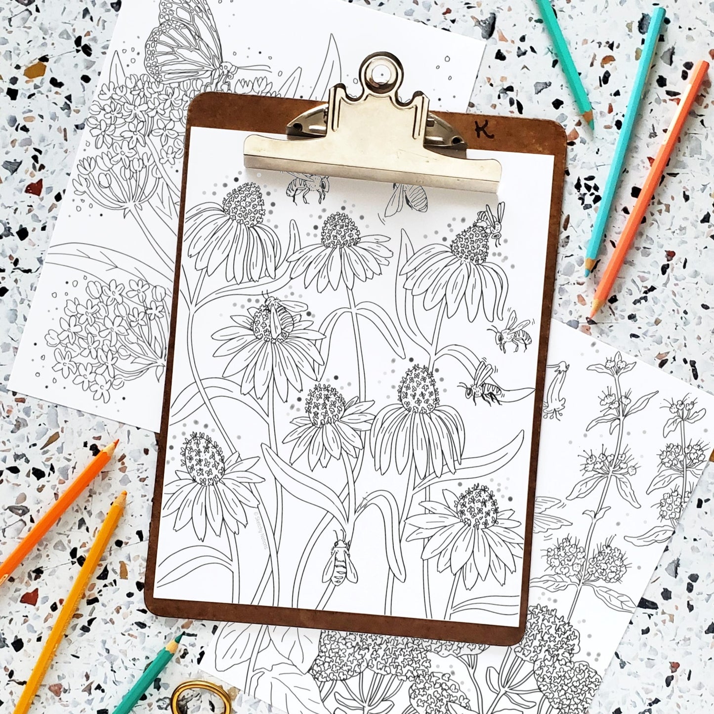 Pollinator Plants + Critters Coloring Pages