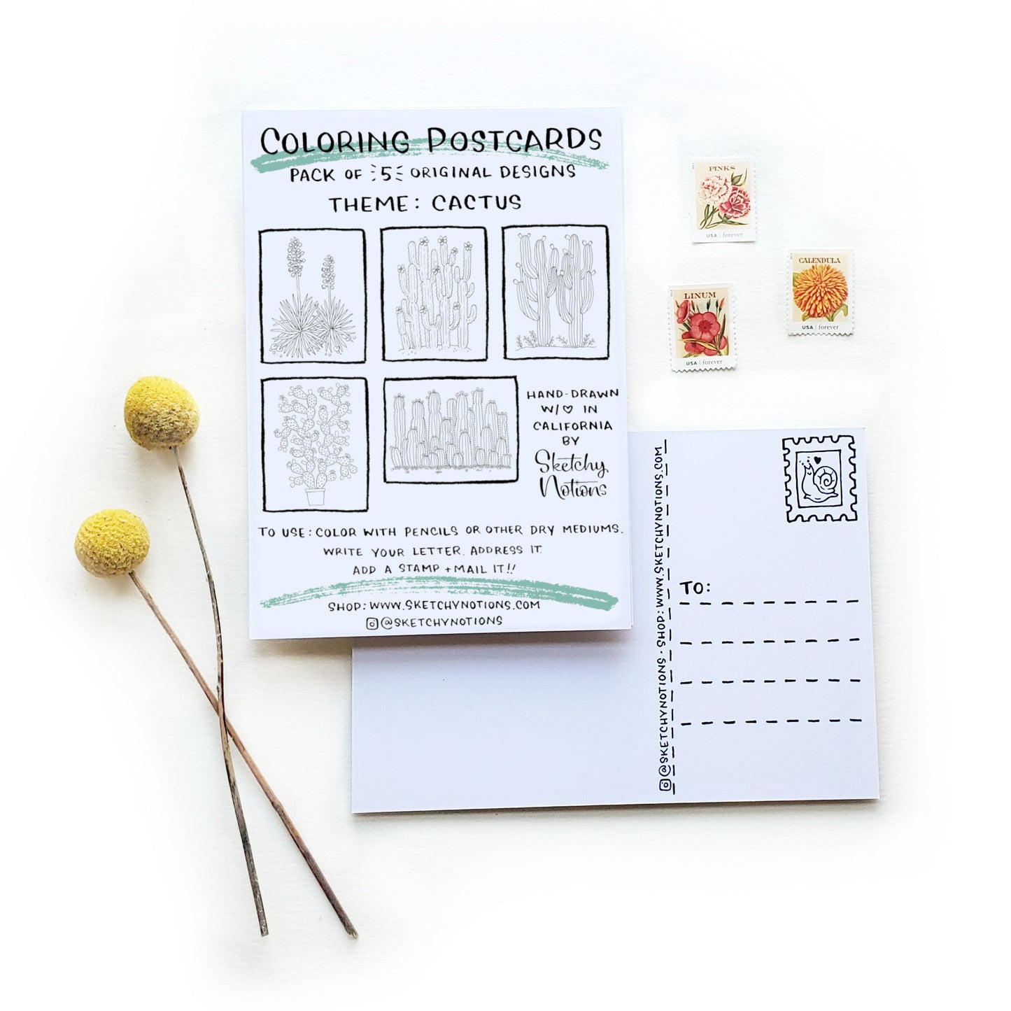 Coloring Postcards - Cactus Set