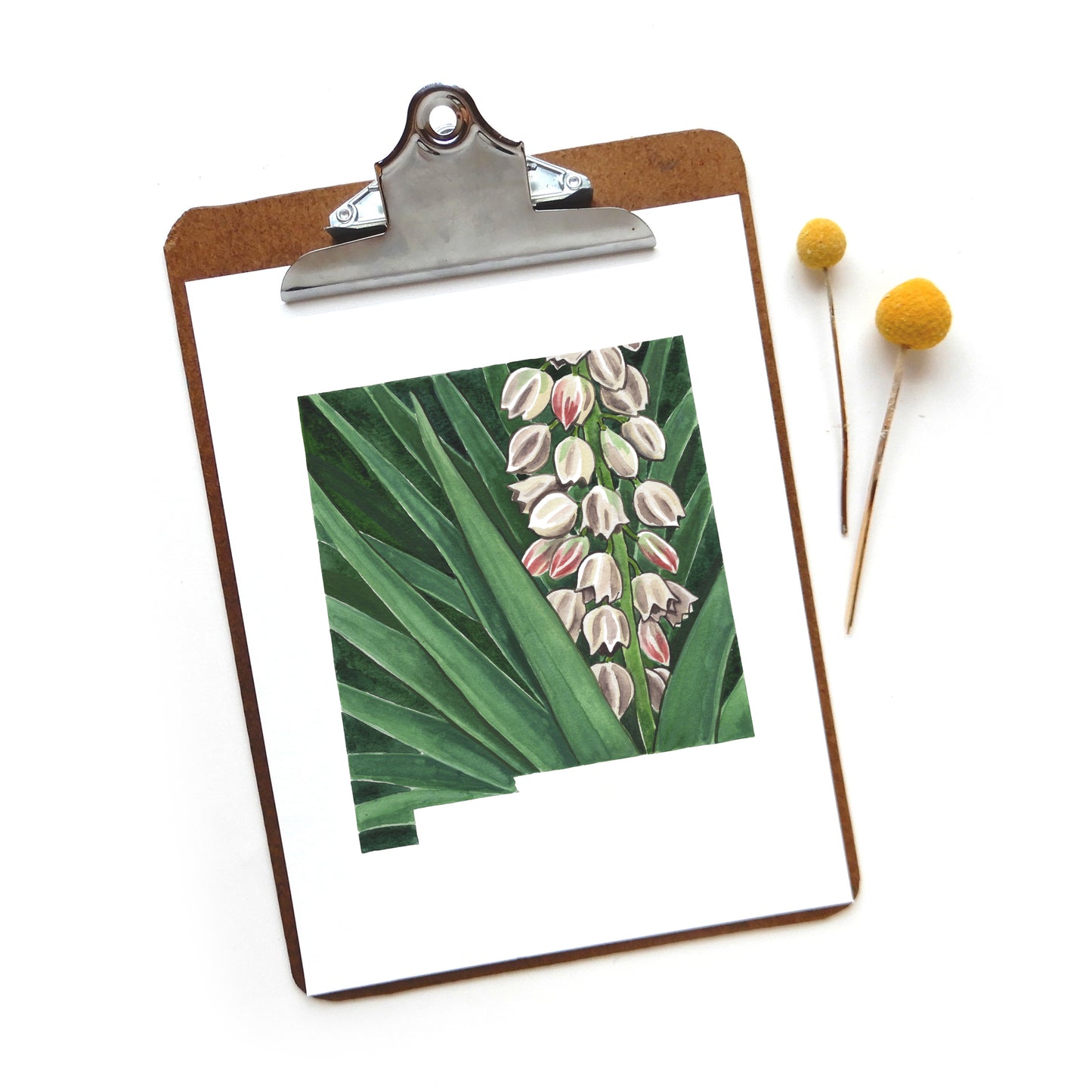 New Mexico Yucca Print