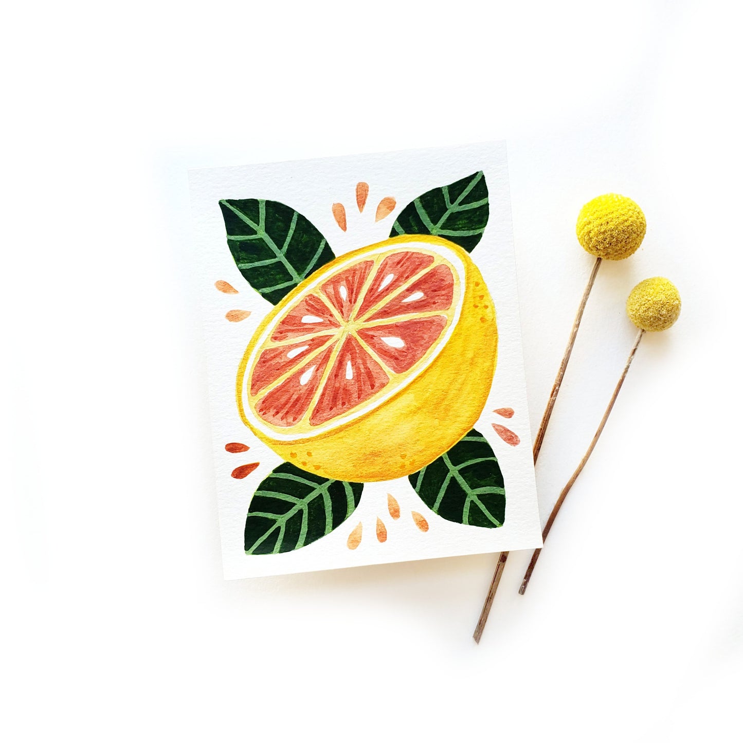 Grapefruit Original Watercolor