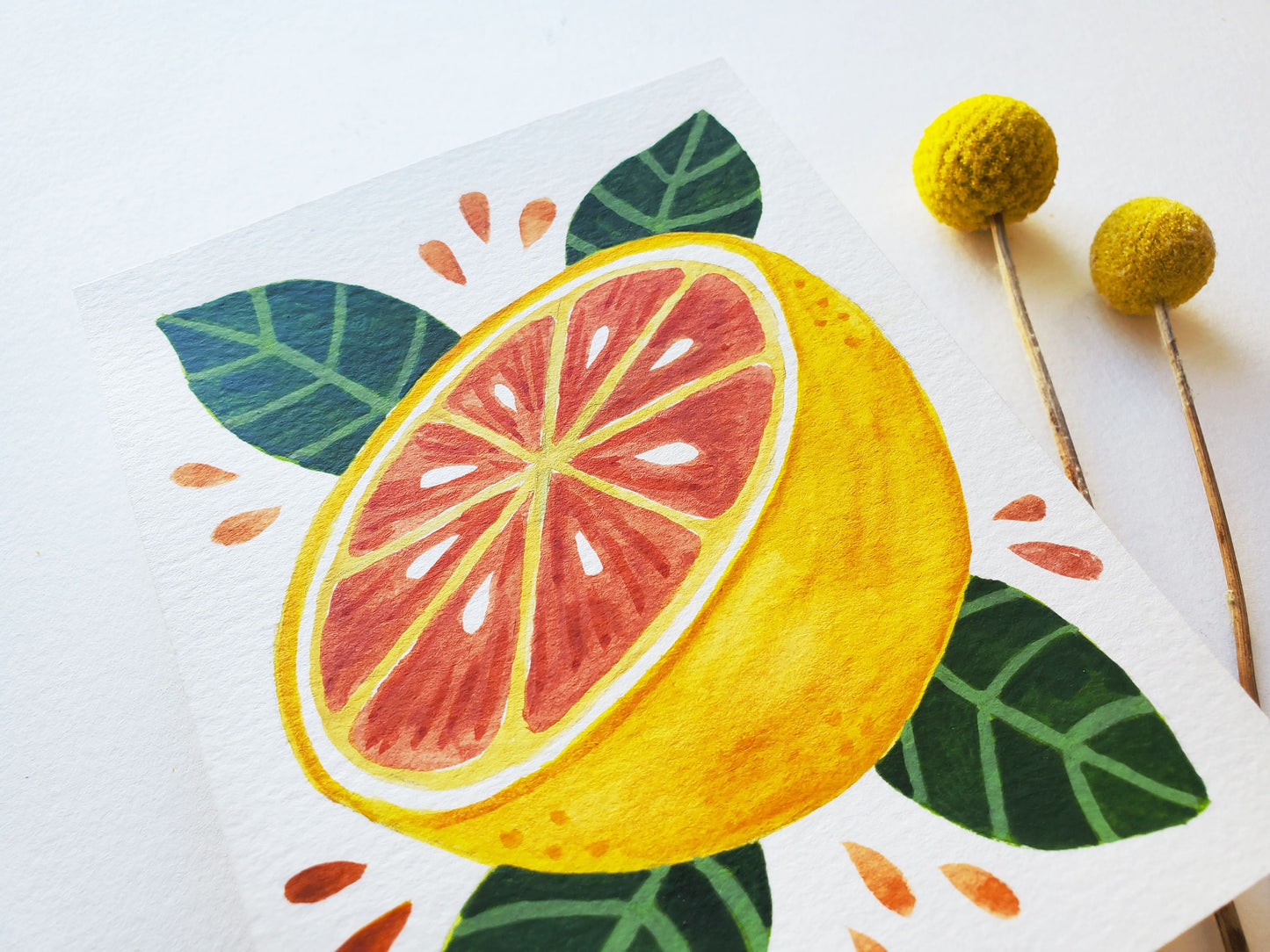 Grapefruit Original Watercolor