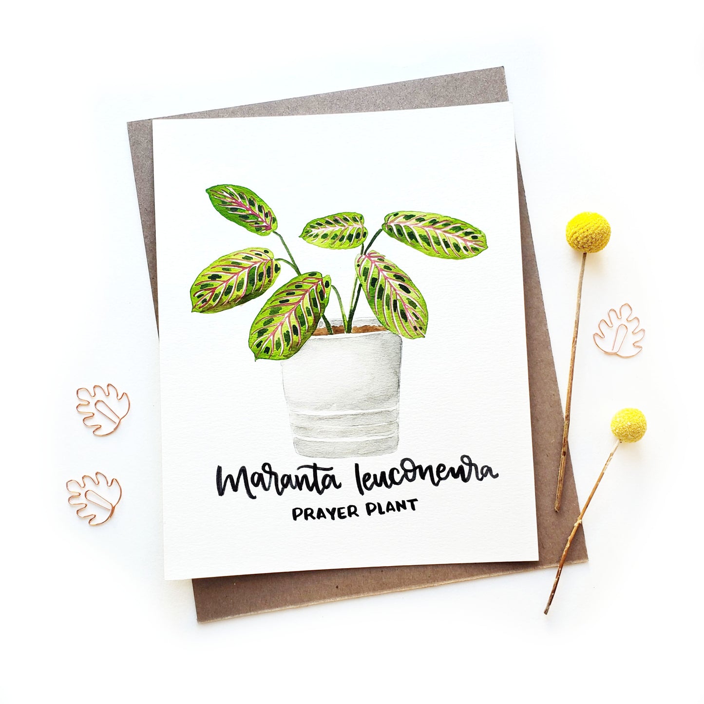 Prayer Plant Original Watercolor