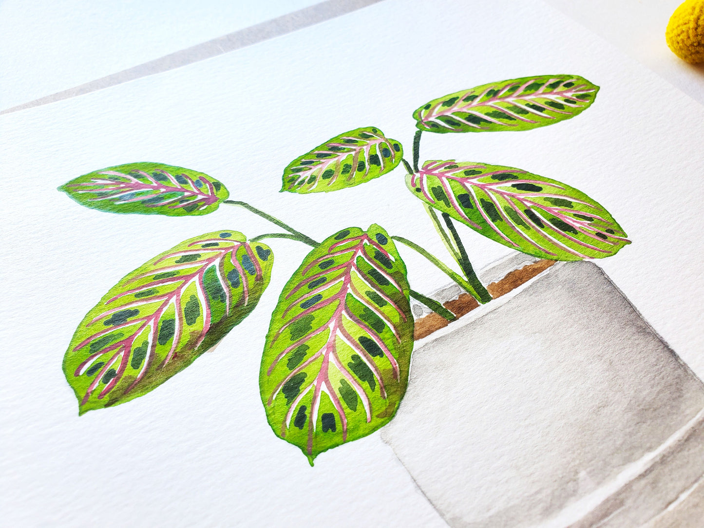 Prayer Plant Original Watercolor