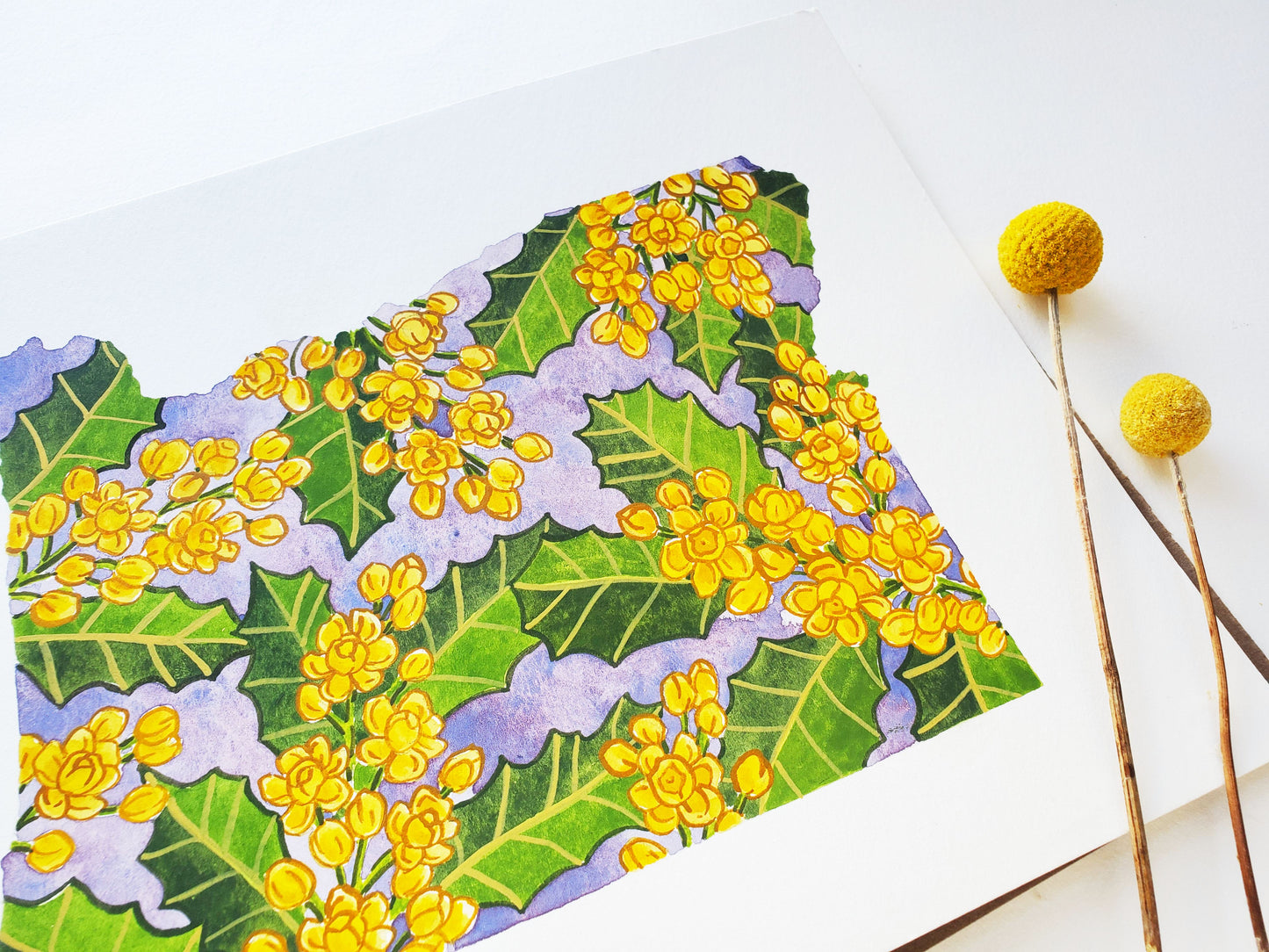 Oregon State Flower Original Watercolor