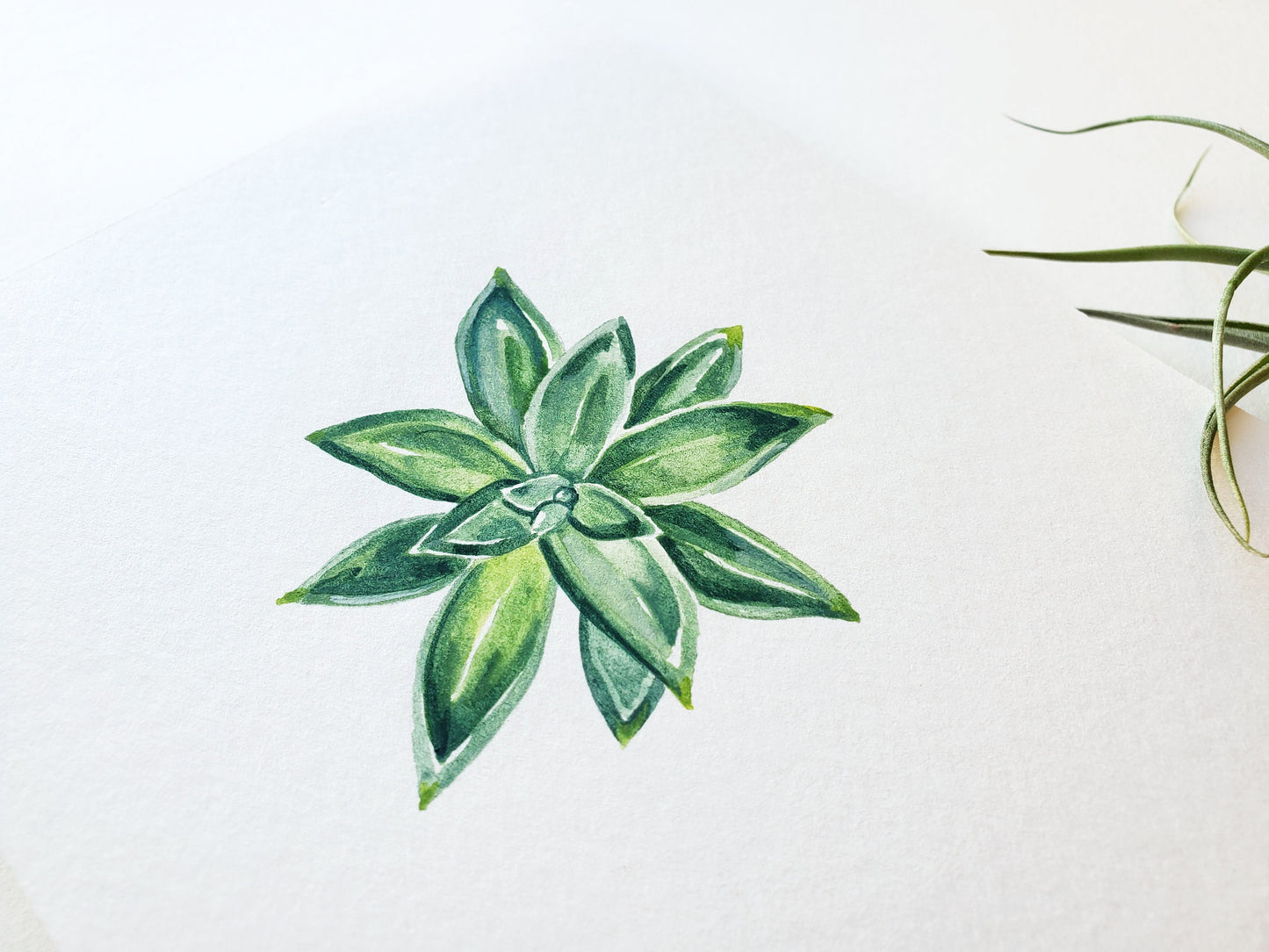 Succulent #1 Original Watercolor