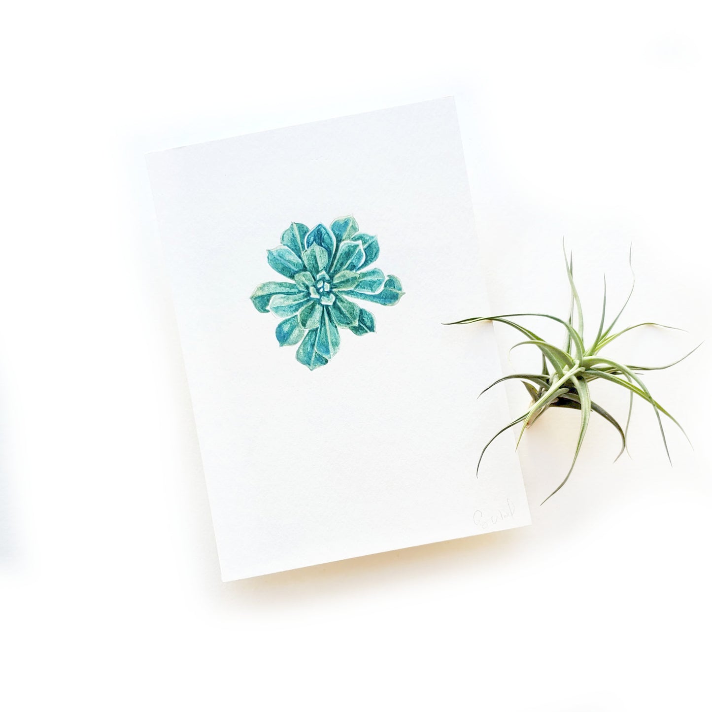 Succulent #5 Original Watercolor