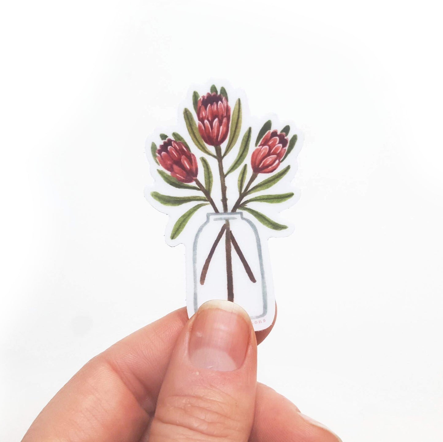 Protea Flower Sticker