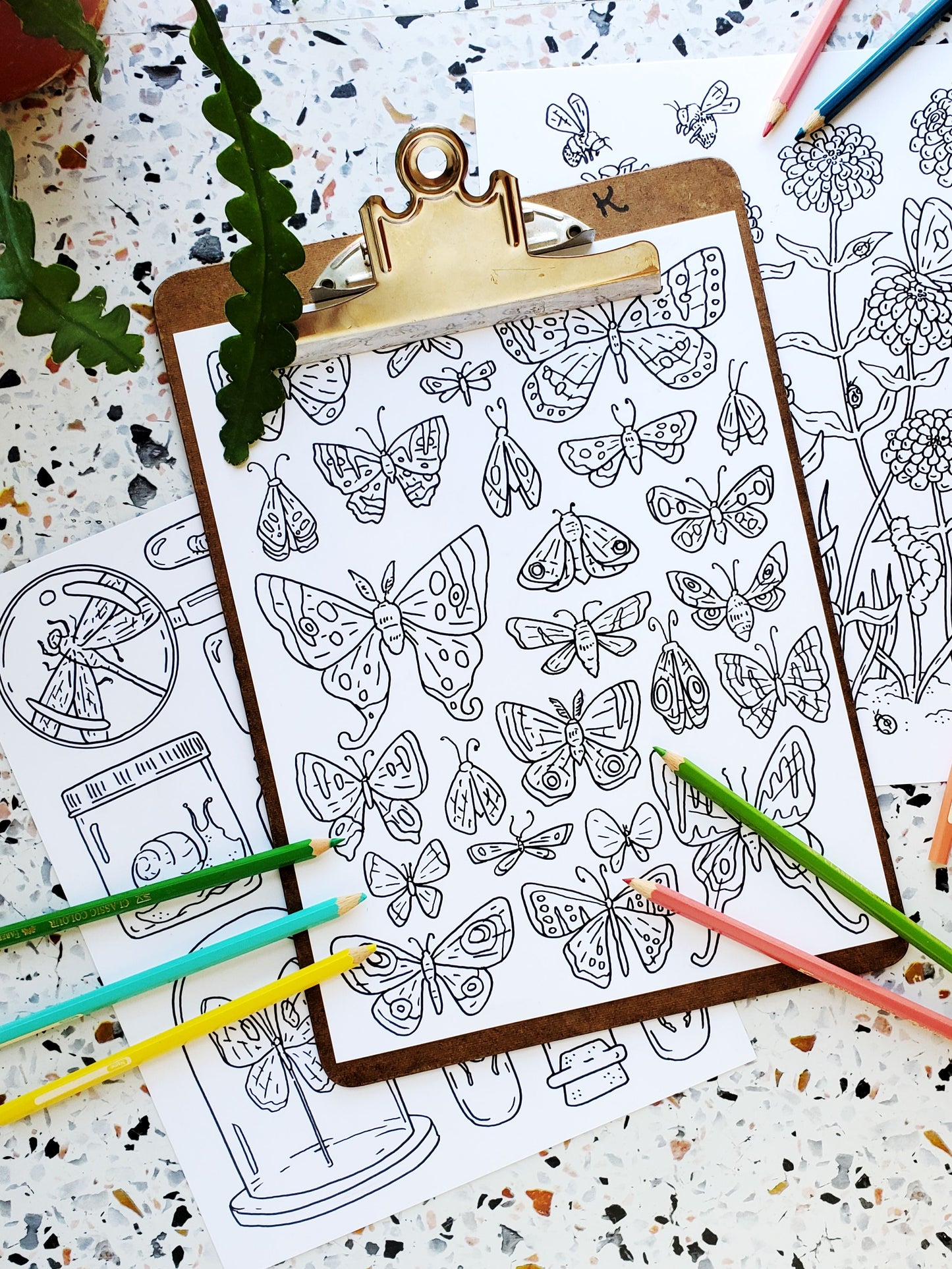 Butterflies + Insects Coloring Pages