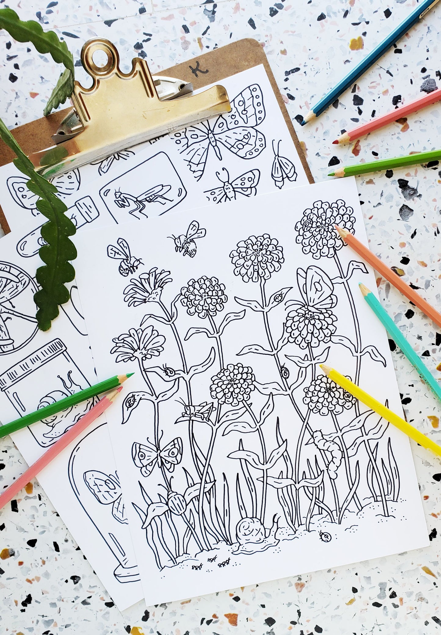 Butterflies + Insects Coloring Pages