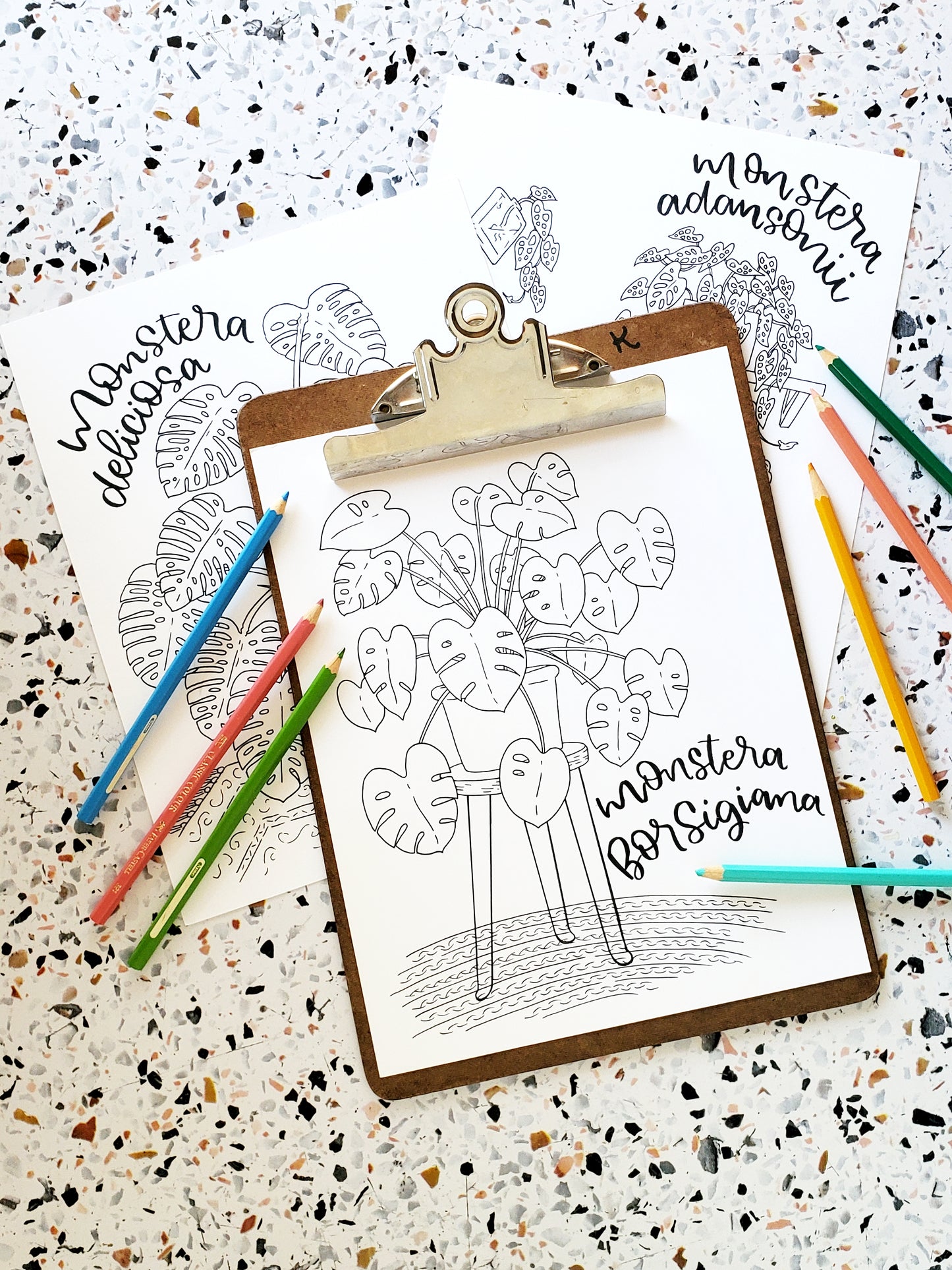 Monstera Coloring Pages