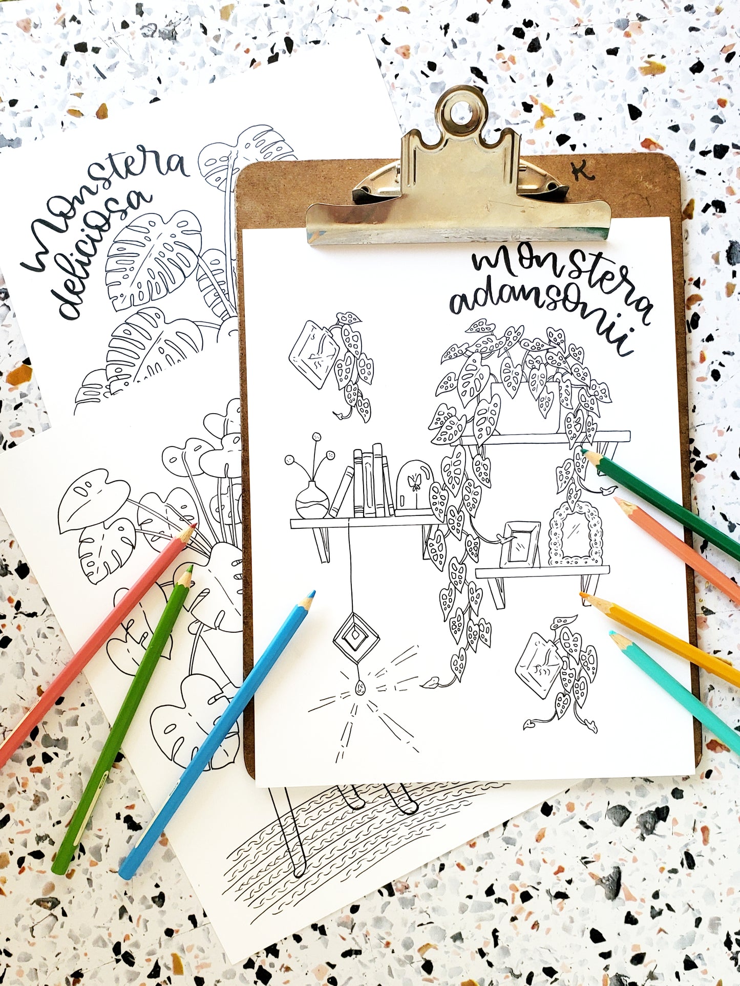 Monstera Coloring Pages