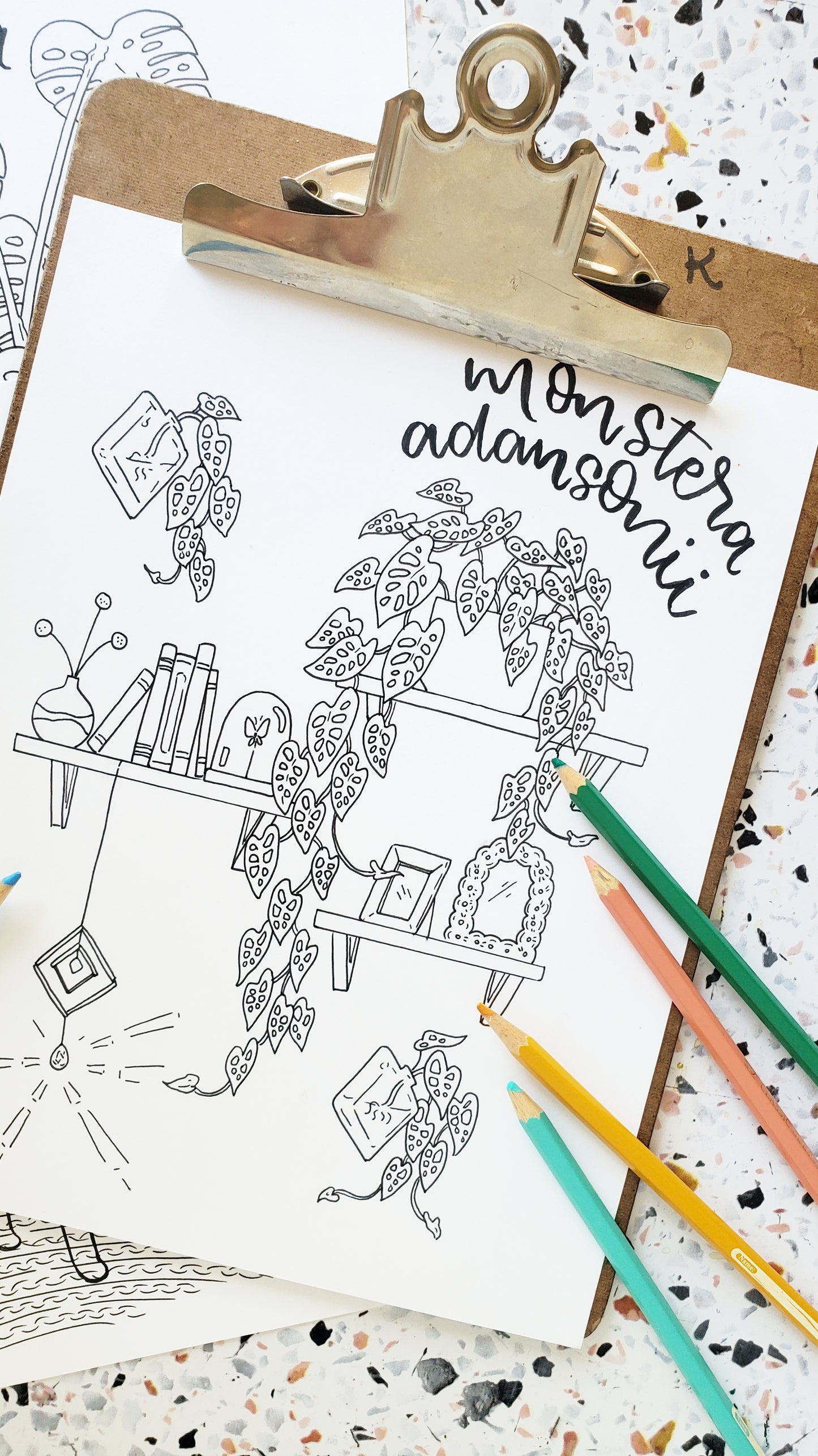 Monstera Coloring Pages