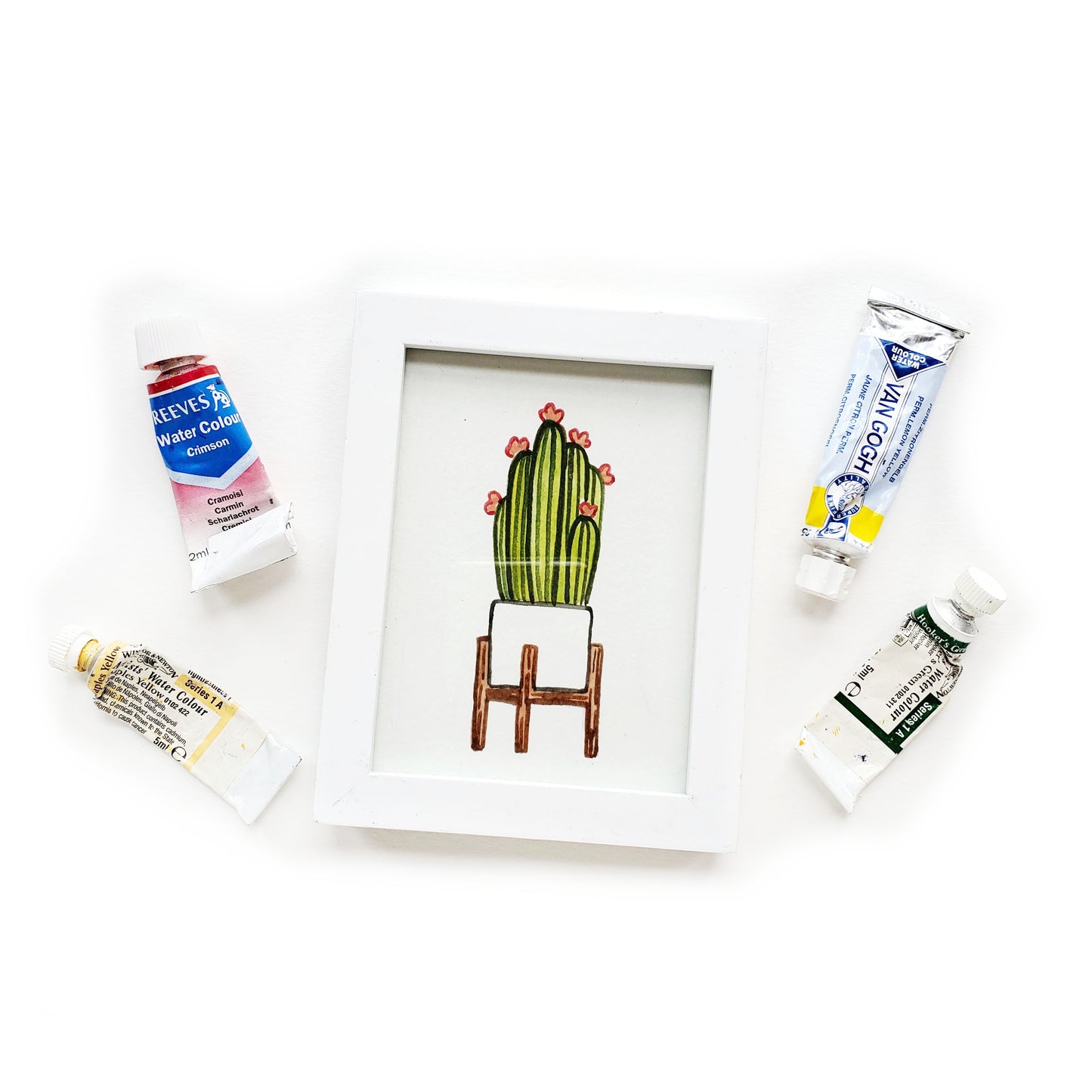 Custom Framed Mini Plant Watercolor Illustration