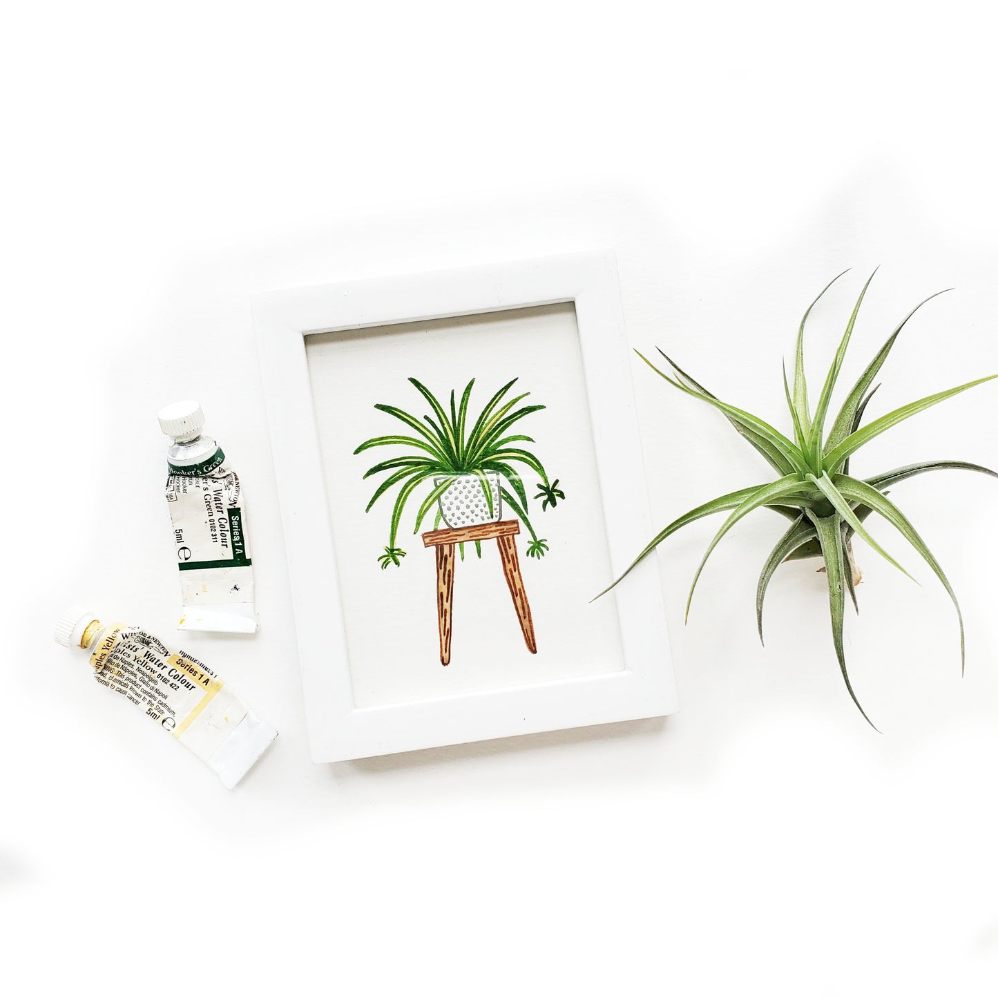 Spider Plant Framed Watercolor Original