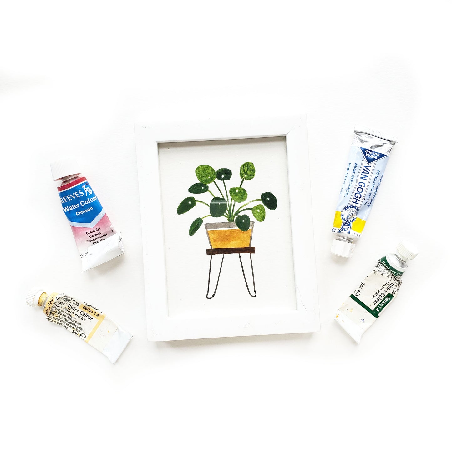 Pilea Framed Watercolor Original