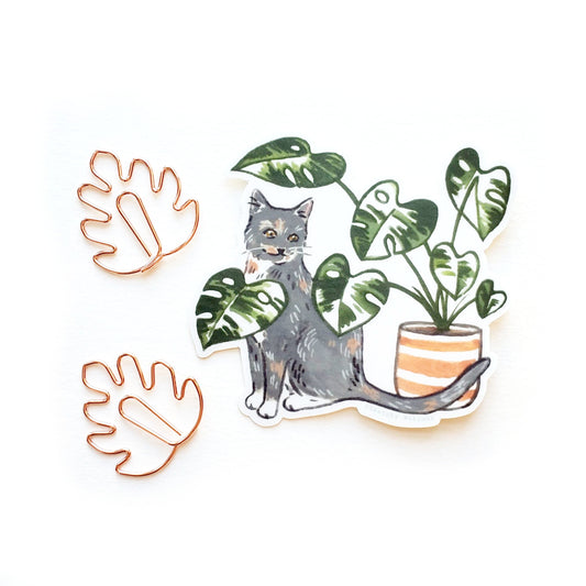 Cat and Plant Sticker 8 - Dilute Calico with Variegated Monstera