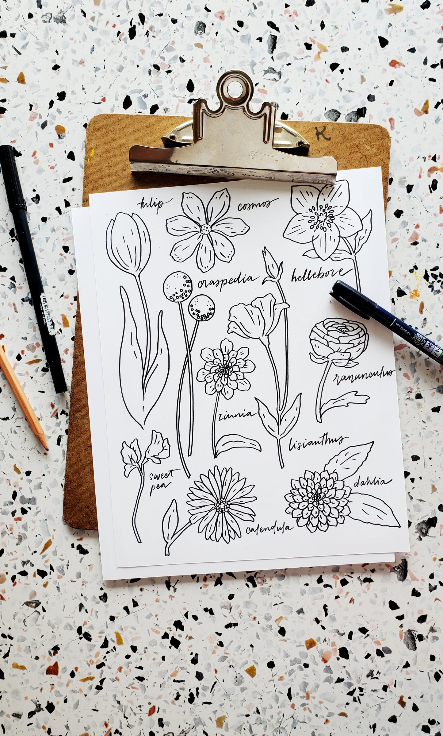 Spring Flowers Coloring Page Download
