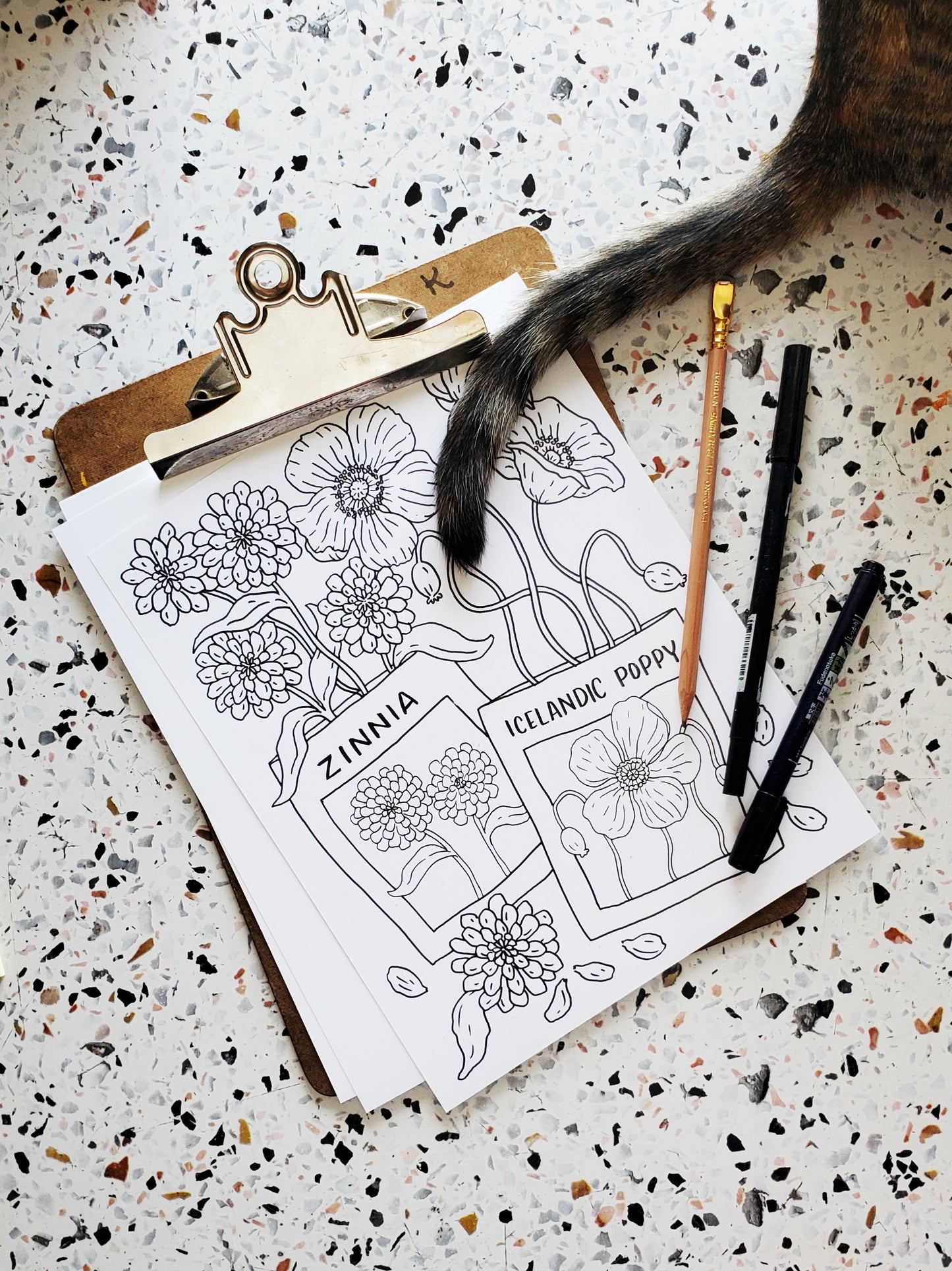 Spring Flowers Coloring Page Download