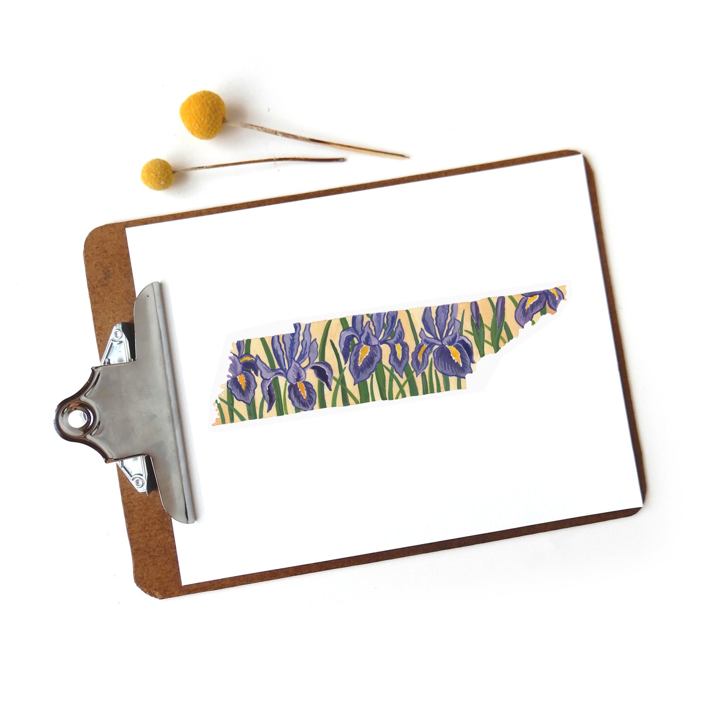 Tennessee Iris Print
