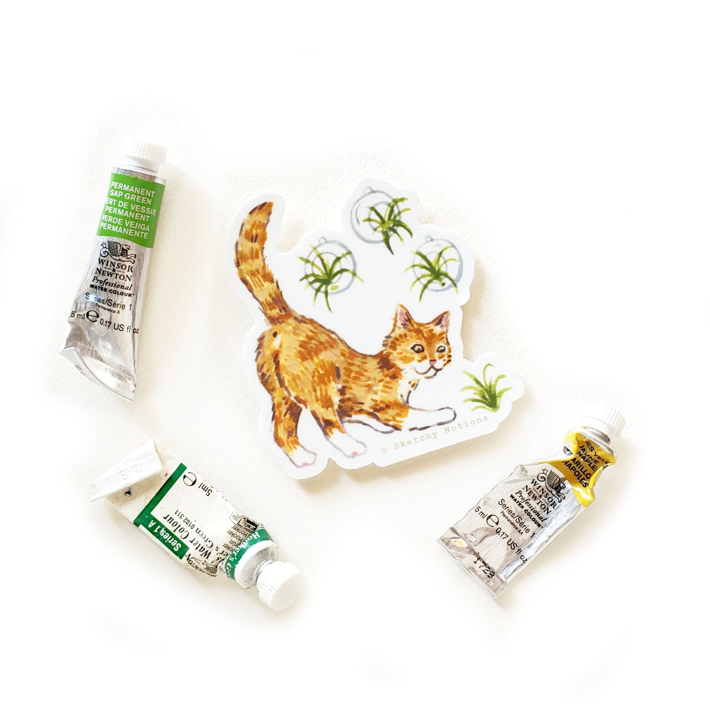 Cat and Plant Sticker 12 - Orange Cat with Air Plants
