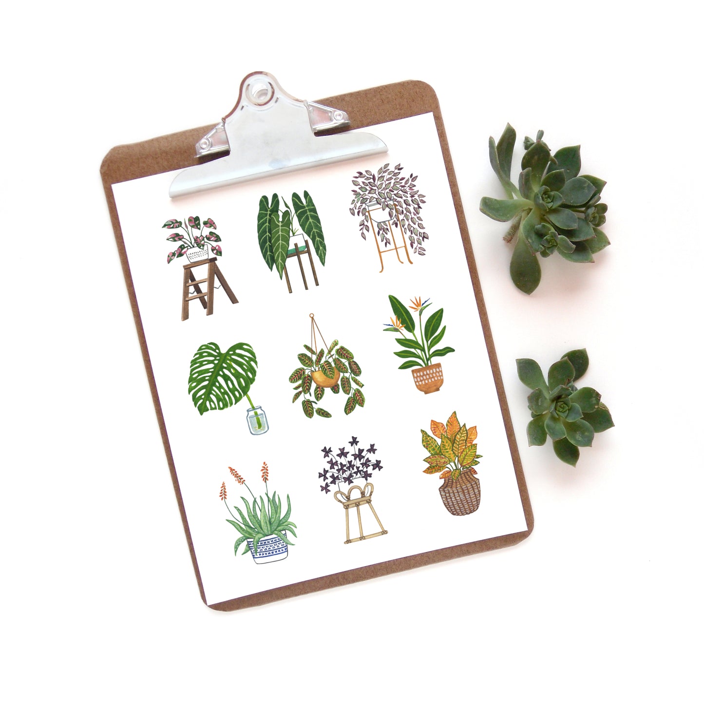 Plant Collage 3 Watercolor Print