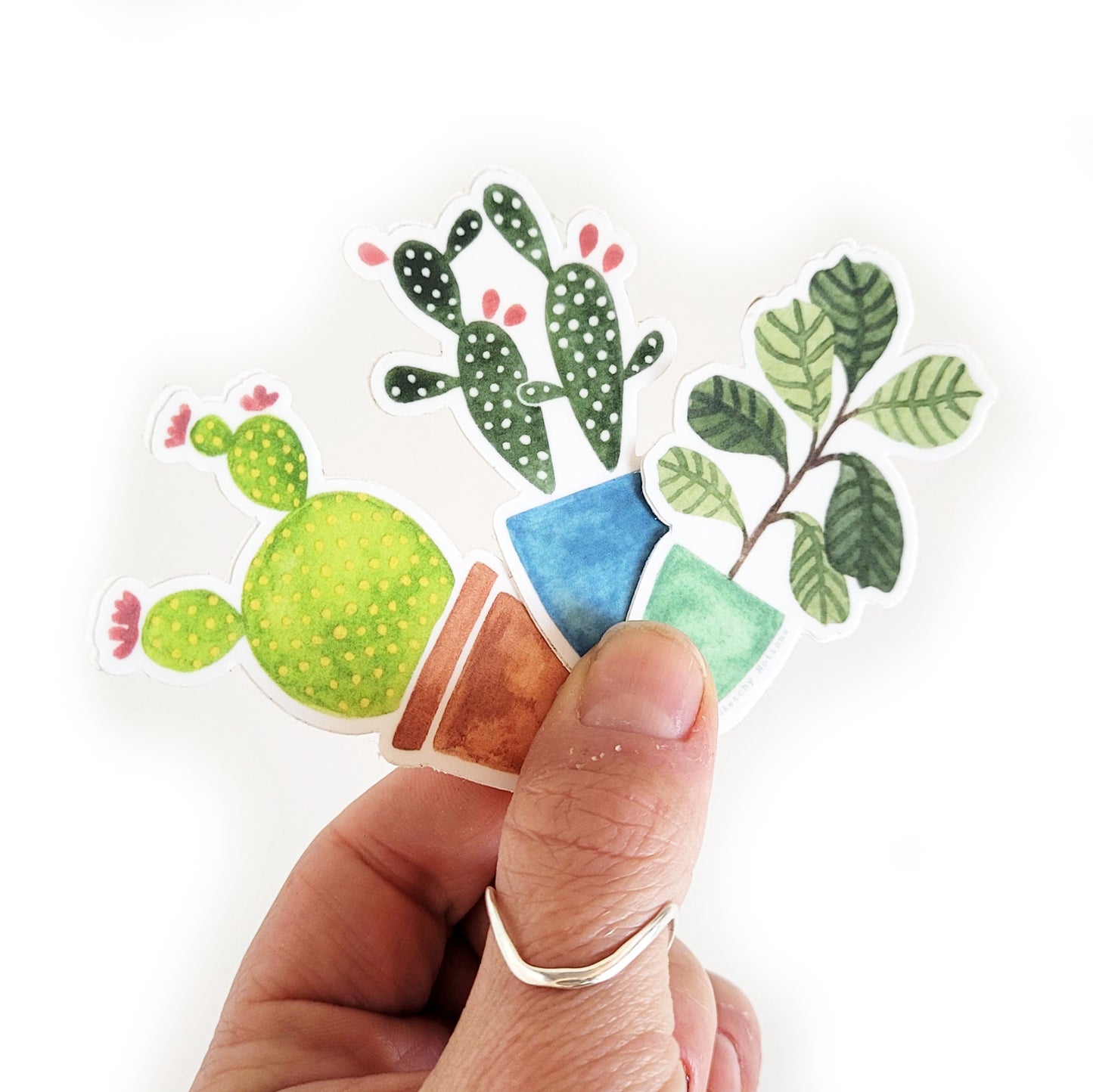 Plant Sticker Pack - Fiddle Leaf Fig, Prickly Pear and Blooming Cactus