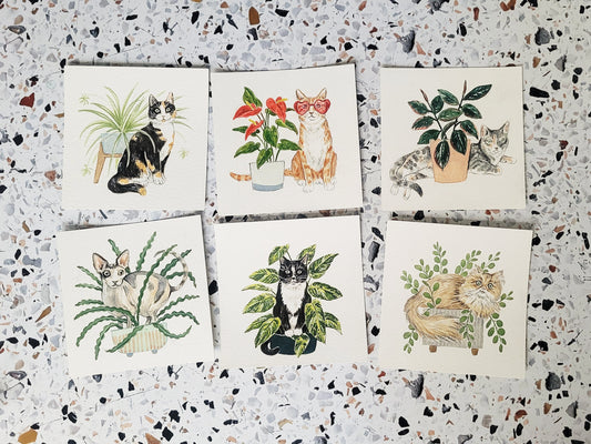 2027 Cat + Plant Calendar kitties!