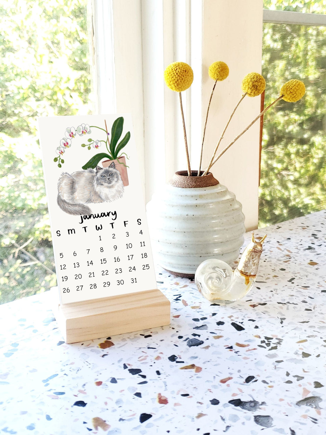 2026 Cat + Plant Calendar: Meet the cats!