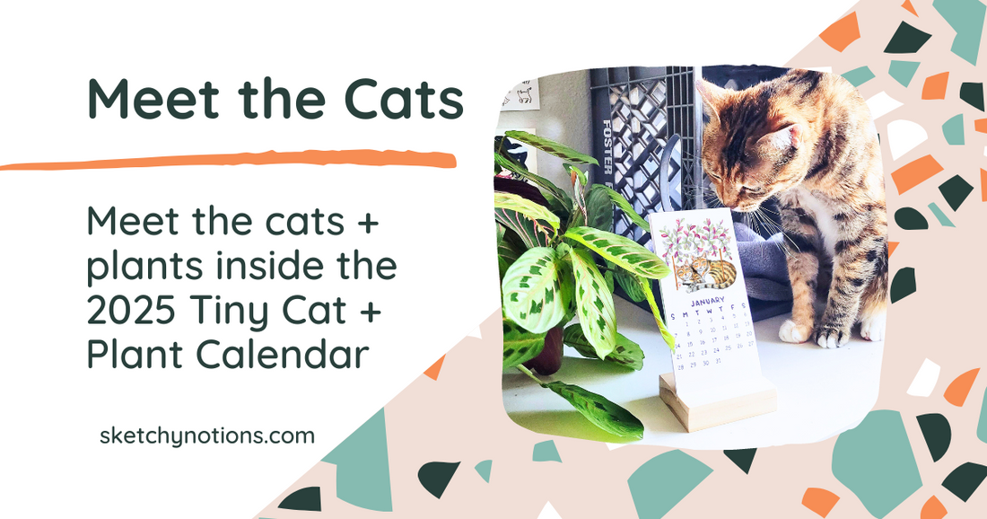 2025 Cat + Plant Calendar: Meet the cats!