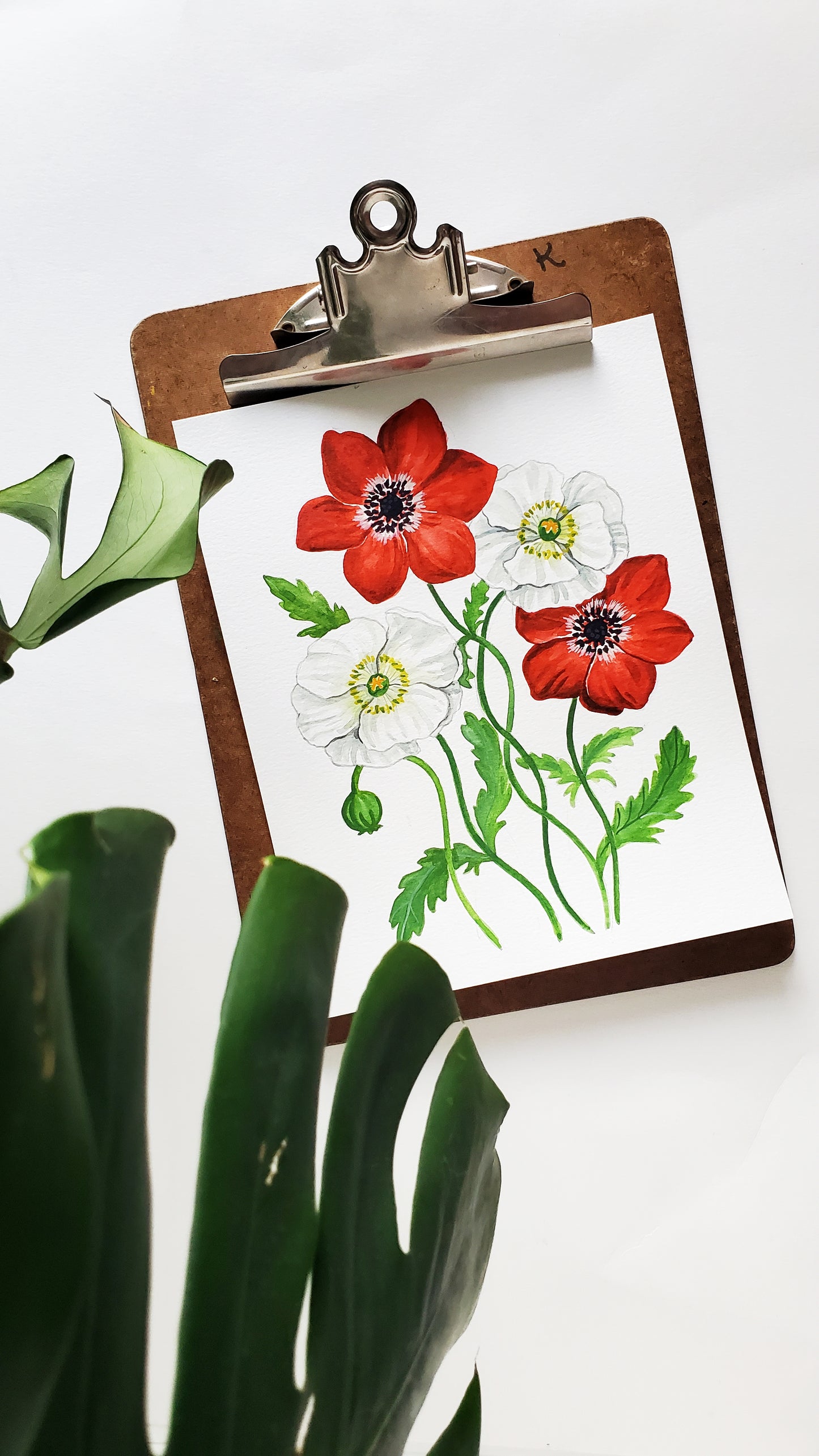 Red and White Poppy Art Print - Fundraiser for Israel + Gaza