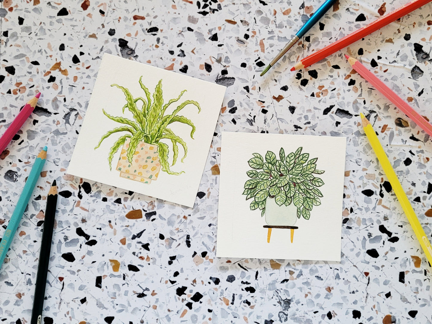 2026 Watercolor Houseplants Desk Calendar