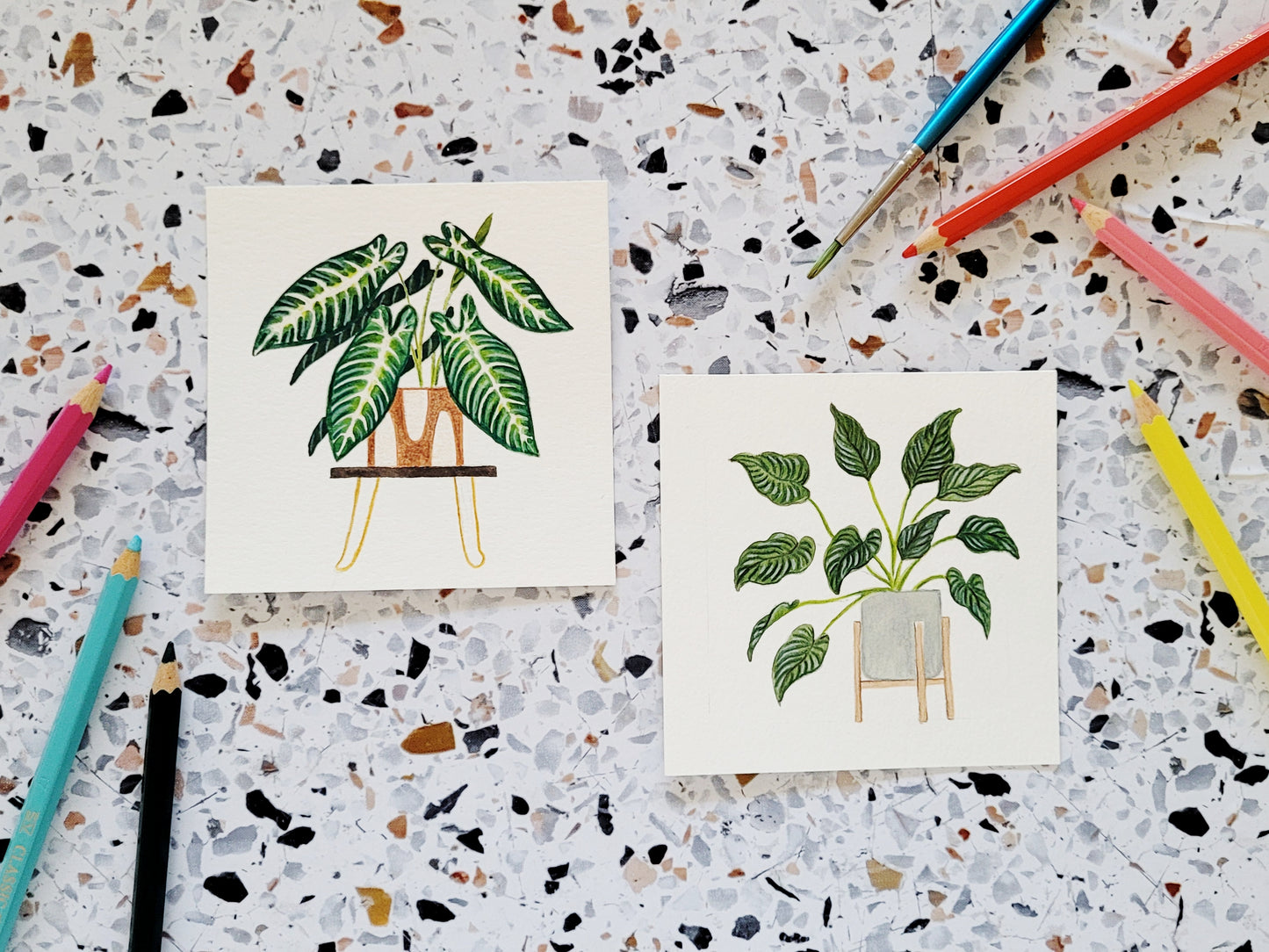 2026 Watercolor Houseplants Desk Calendar