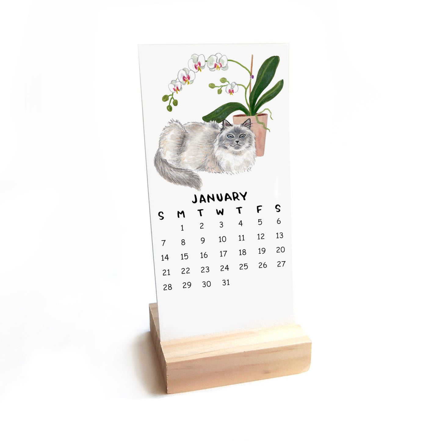 2026 Cats + Plants Desk Calendar