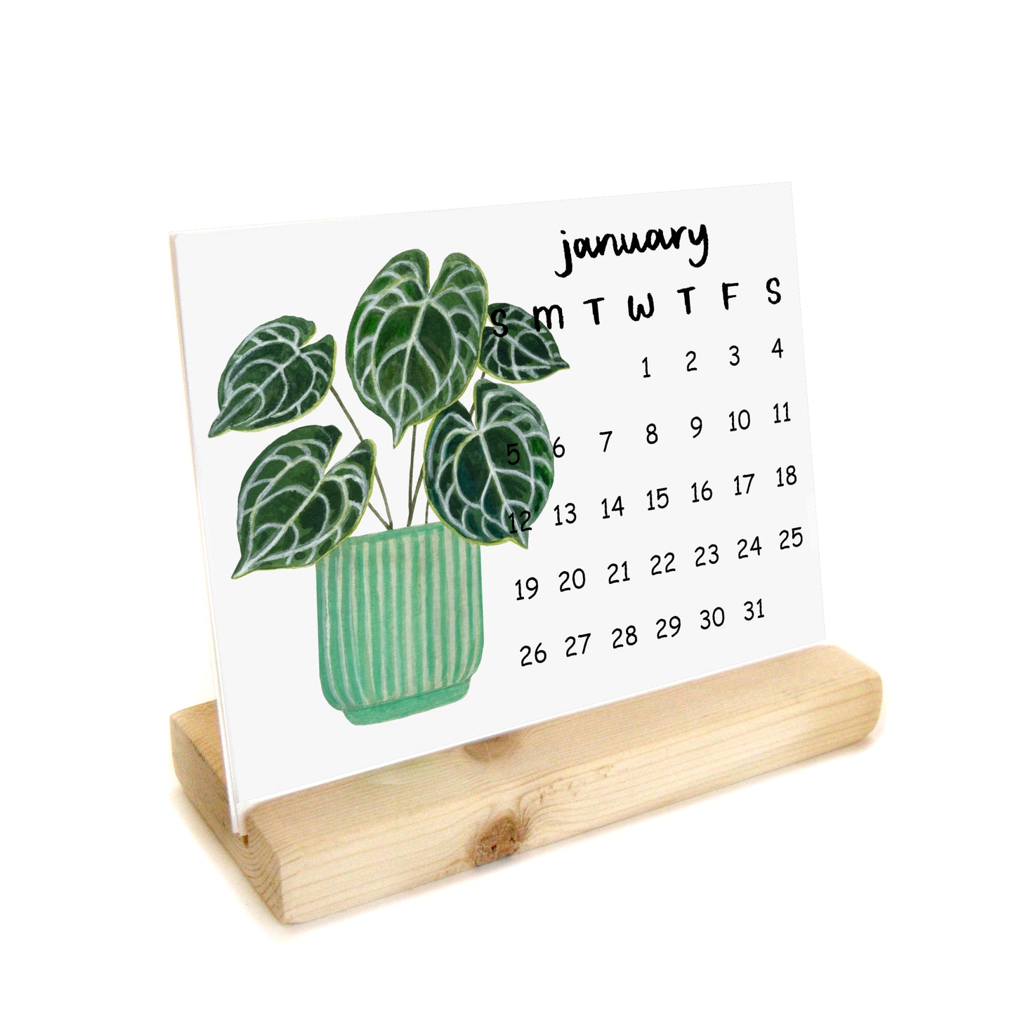 2026 Watercolor Houseplants Desk Calendar