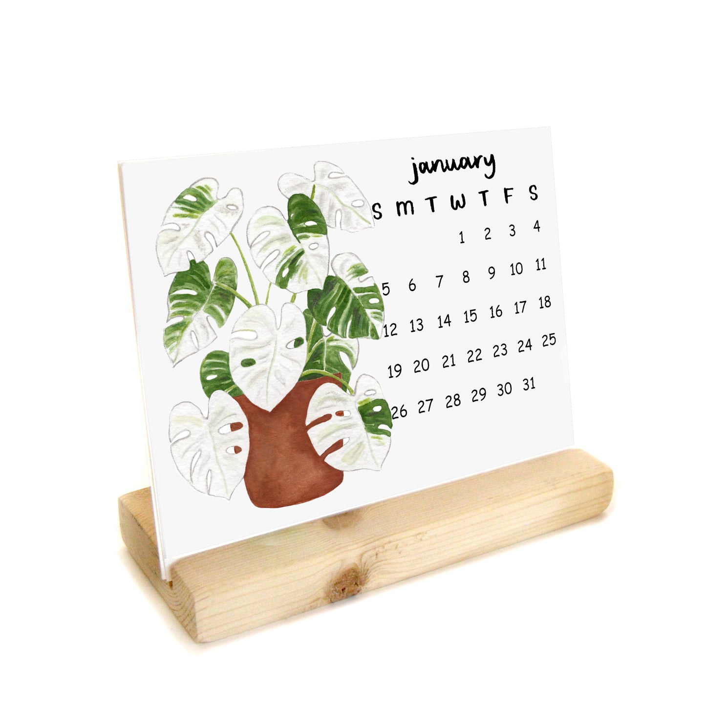 2027 Watercolor Houseplants Desk Calendar